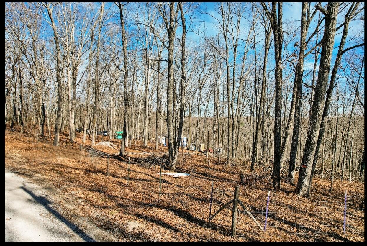 815 Chestnut Ridge Road, Spring City, Tennessee image 7