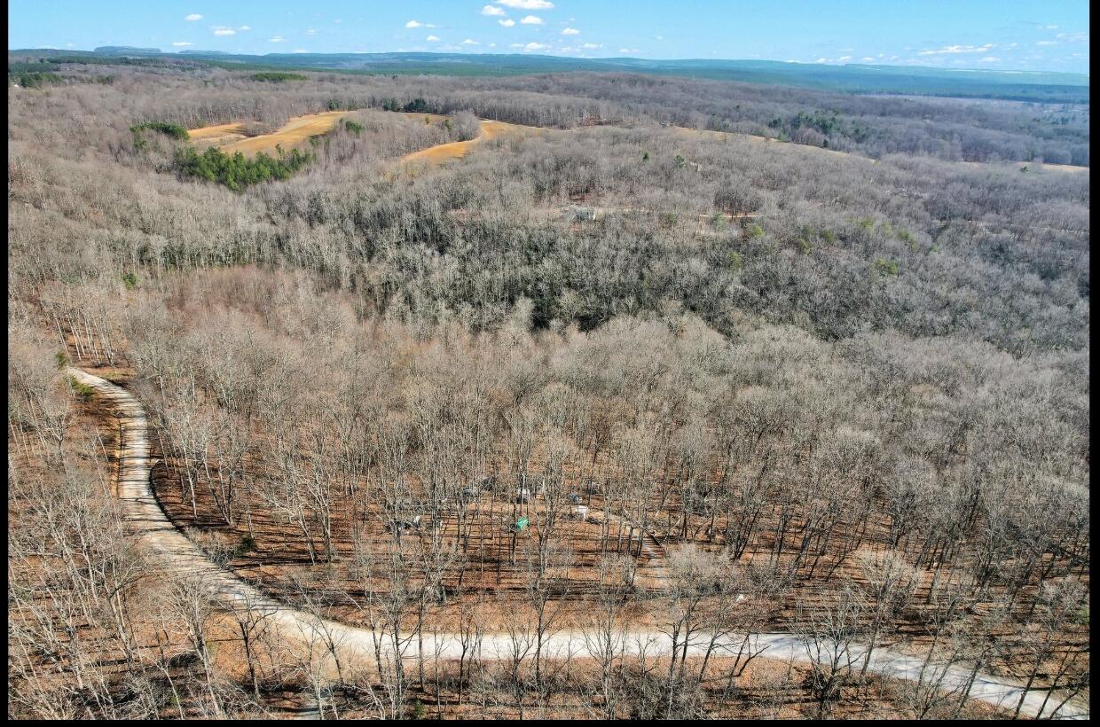 815 Chestnut Ridge Road, Spring City, Tennessee image 12