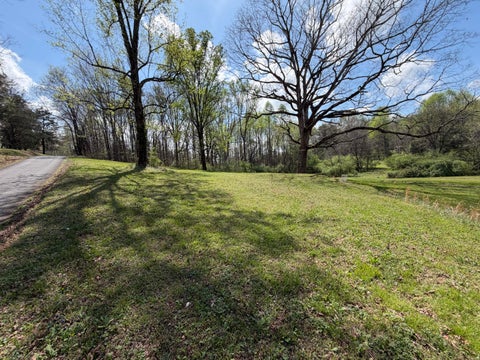 Vacant Land For Sale - 176 County Road 733<br/> Calhoun, TN 37309
