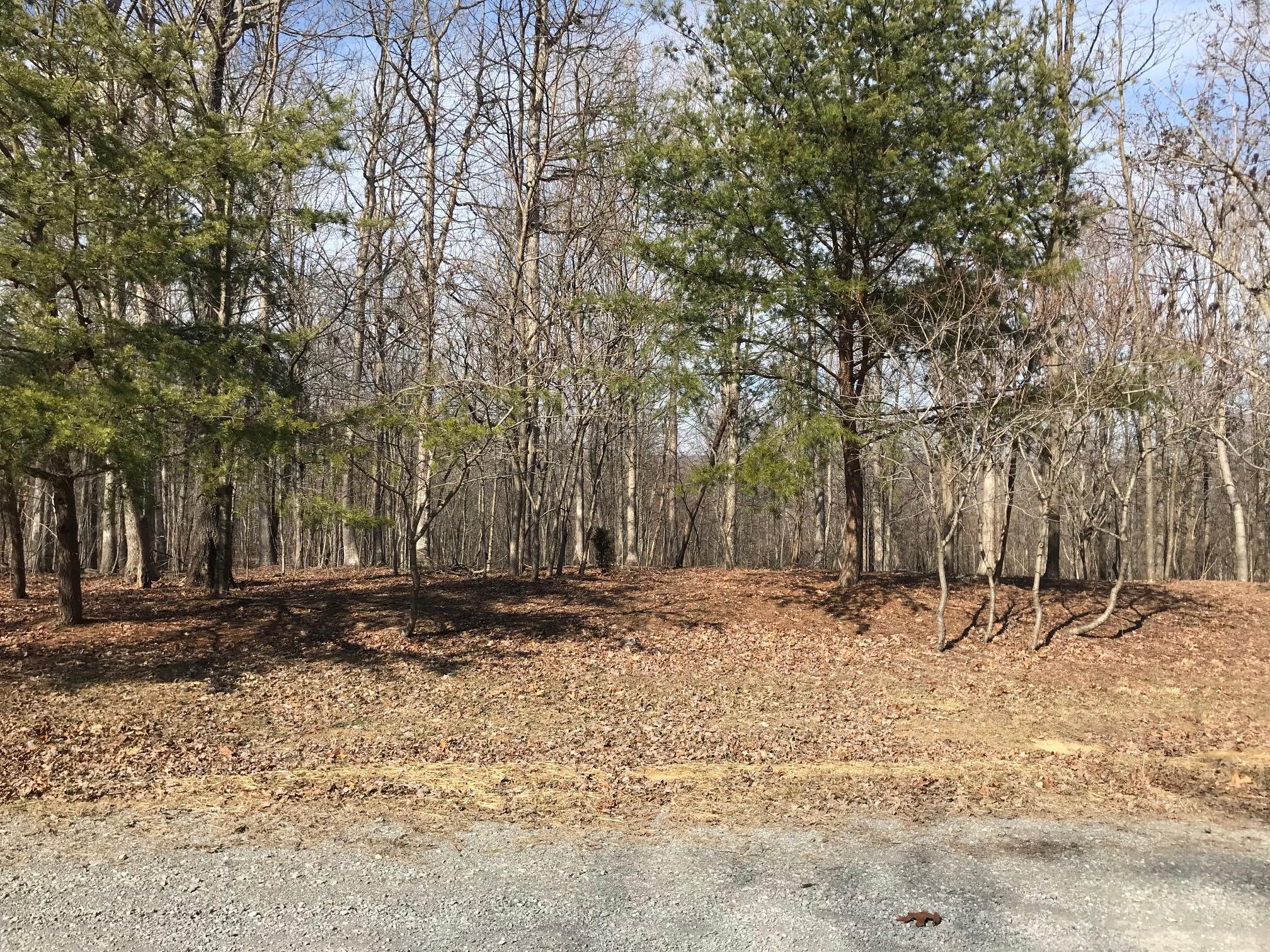 504 Wilderness Way, Dunlap, Tennessee image 11