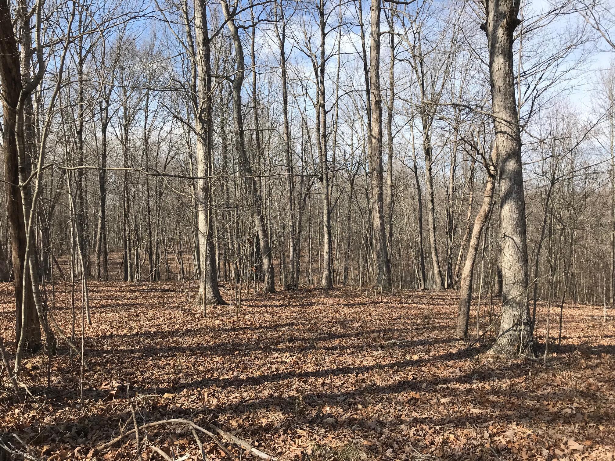 504 Wilderness Way, Dunlap, Tennessee image 2