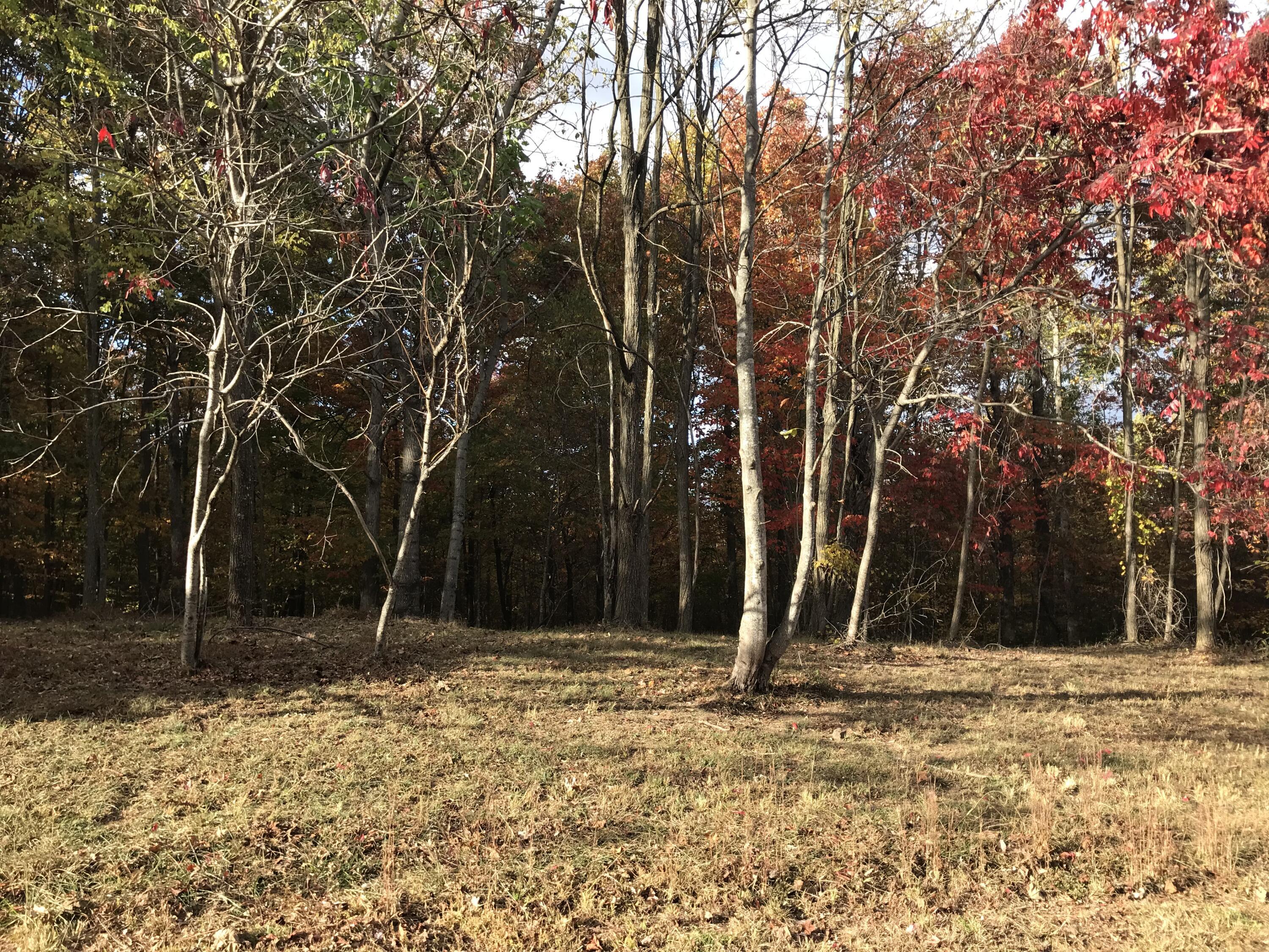 504 Wilderness Way, Dunlap, Tennessee image 5