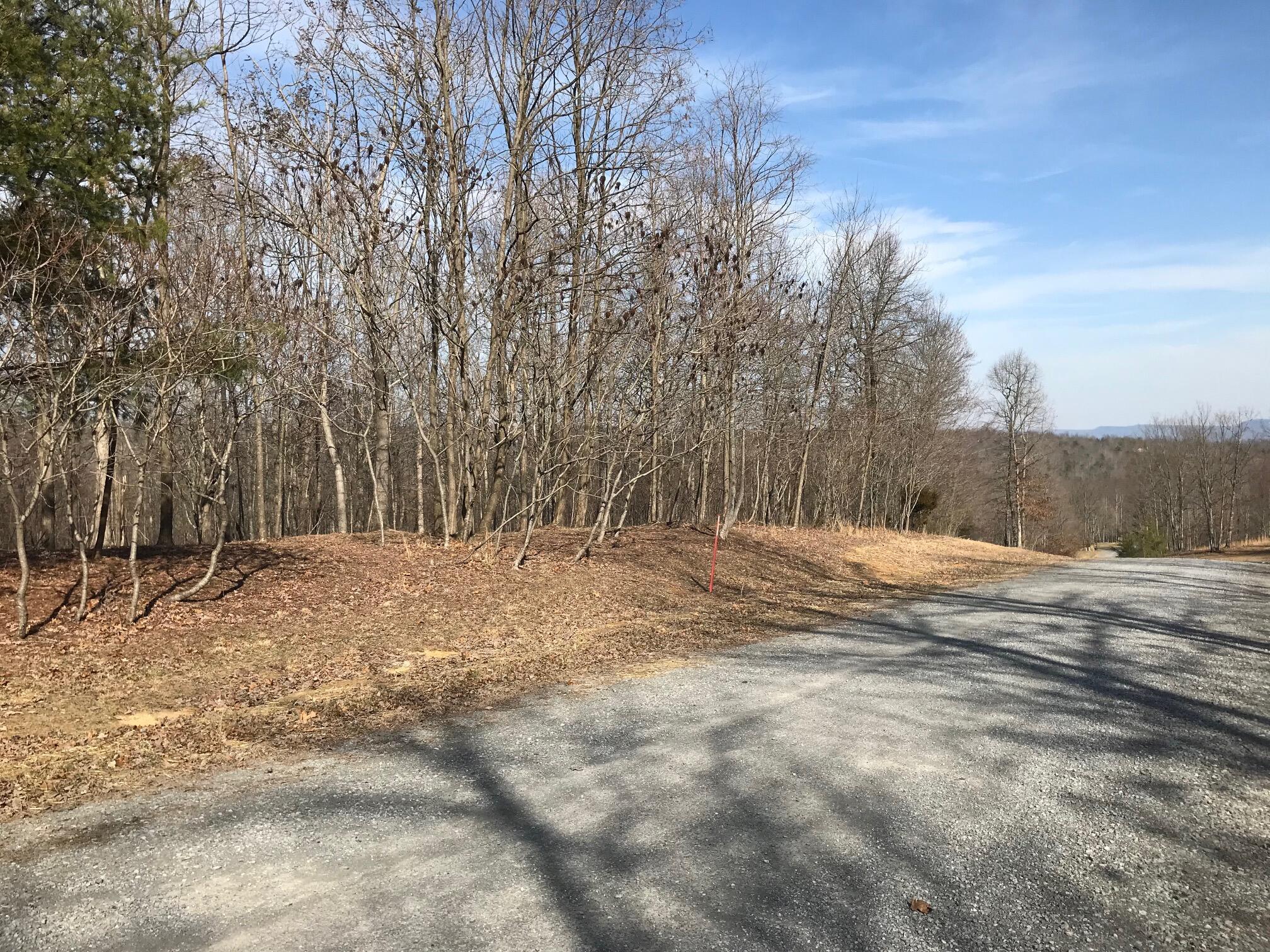 504 Wilderness Way, Dunlap, Tennessee image 9