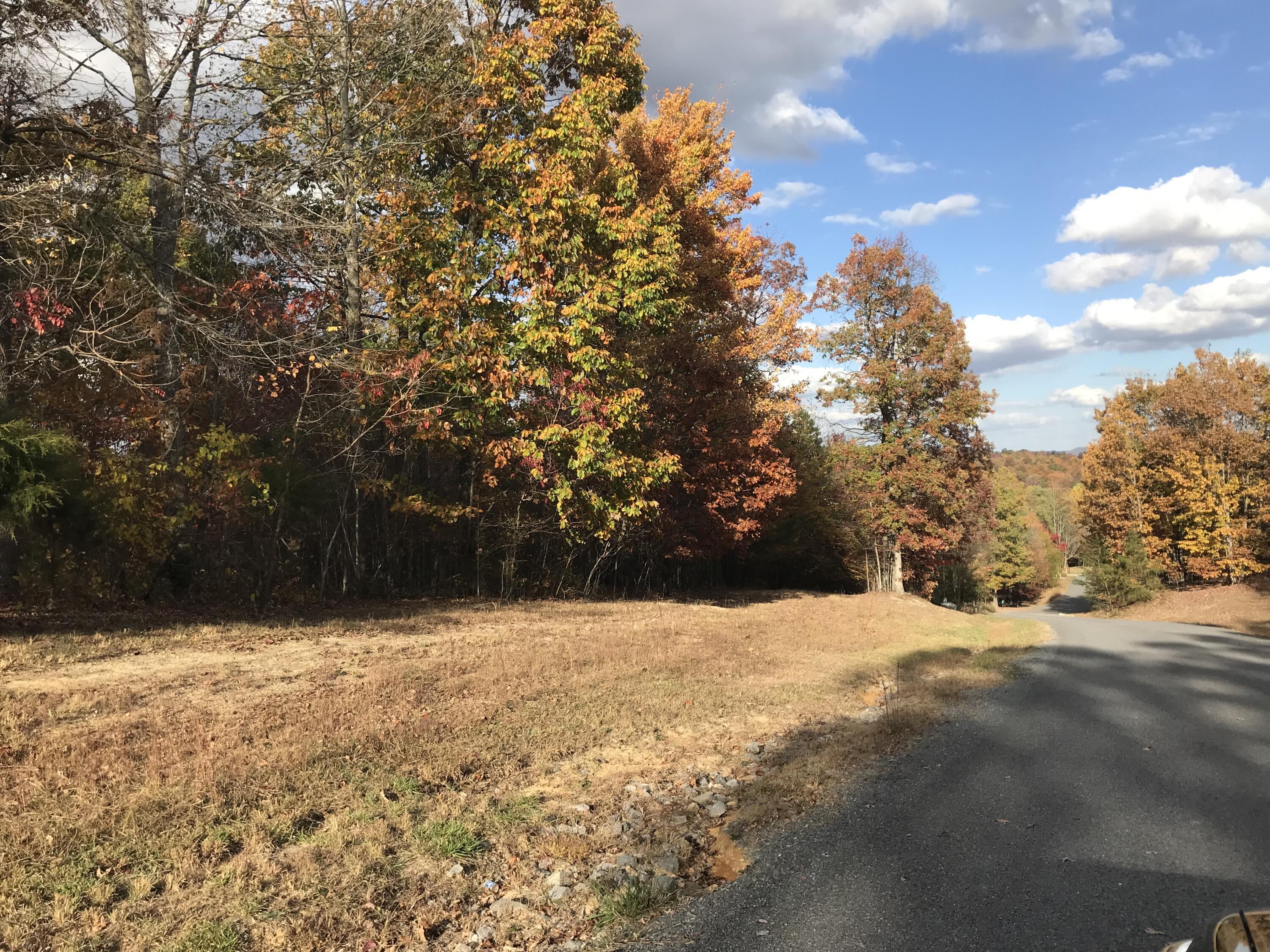 504 Wilderness Way, Dunlap, Tennessee image 4