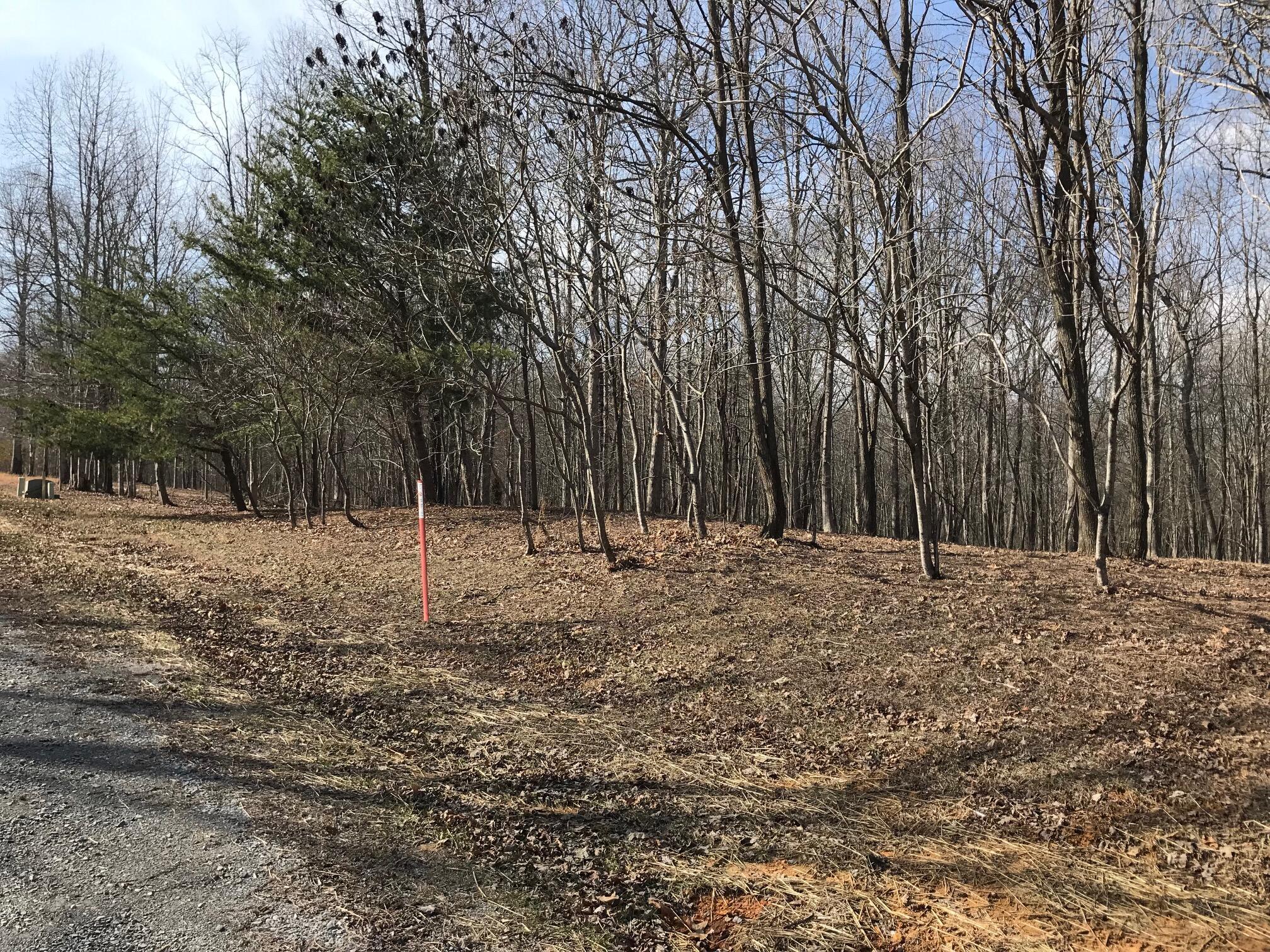 504 Wilderness Way, Dunlap, Tennessee image 17
