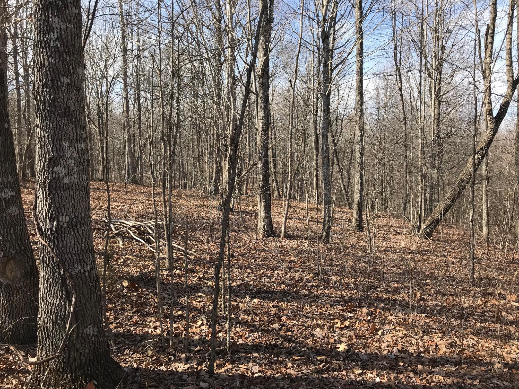 504 Wilderness Way, Dunlap, Tennessee image 14