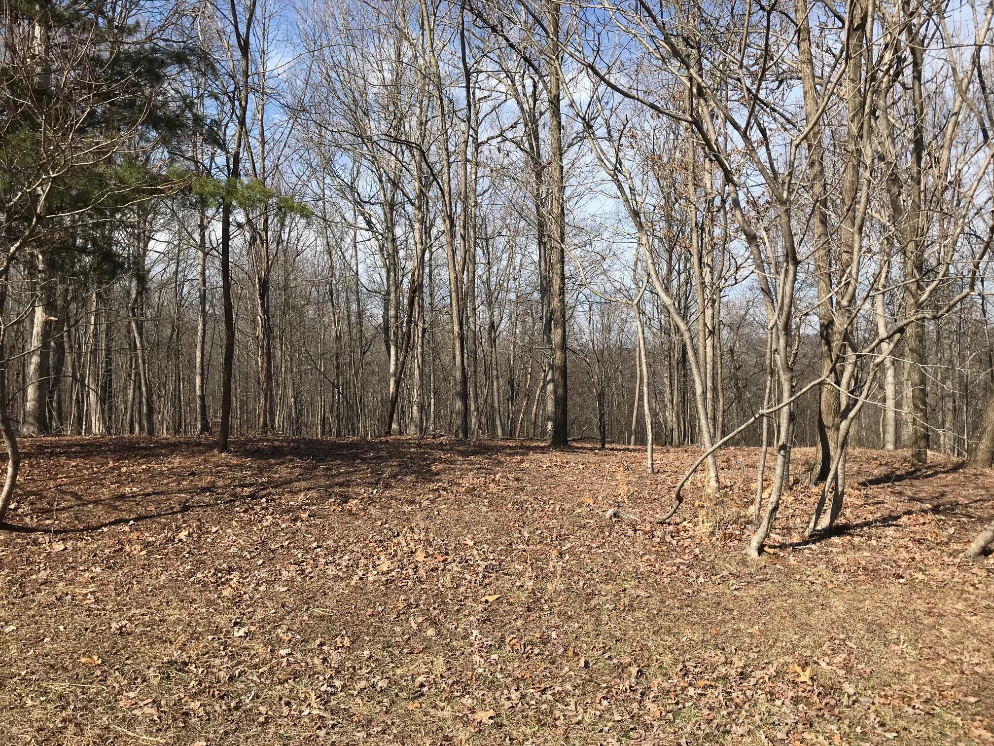 504 Wilderness Way, Dunlap, Tennessee image 19