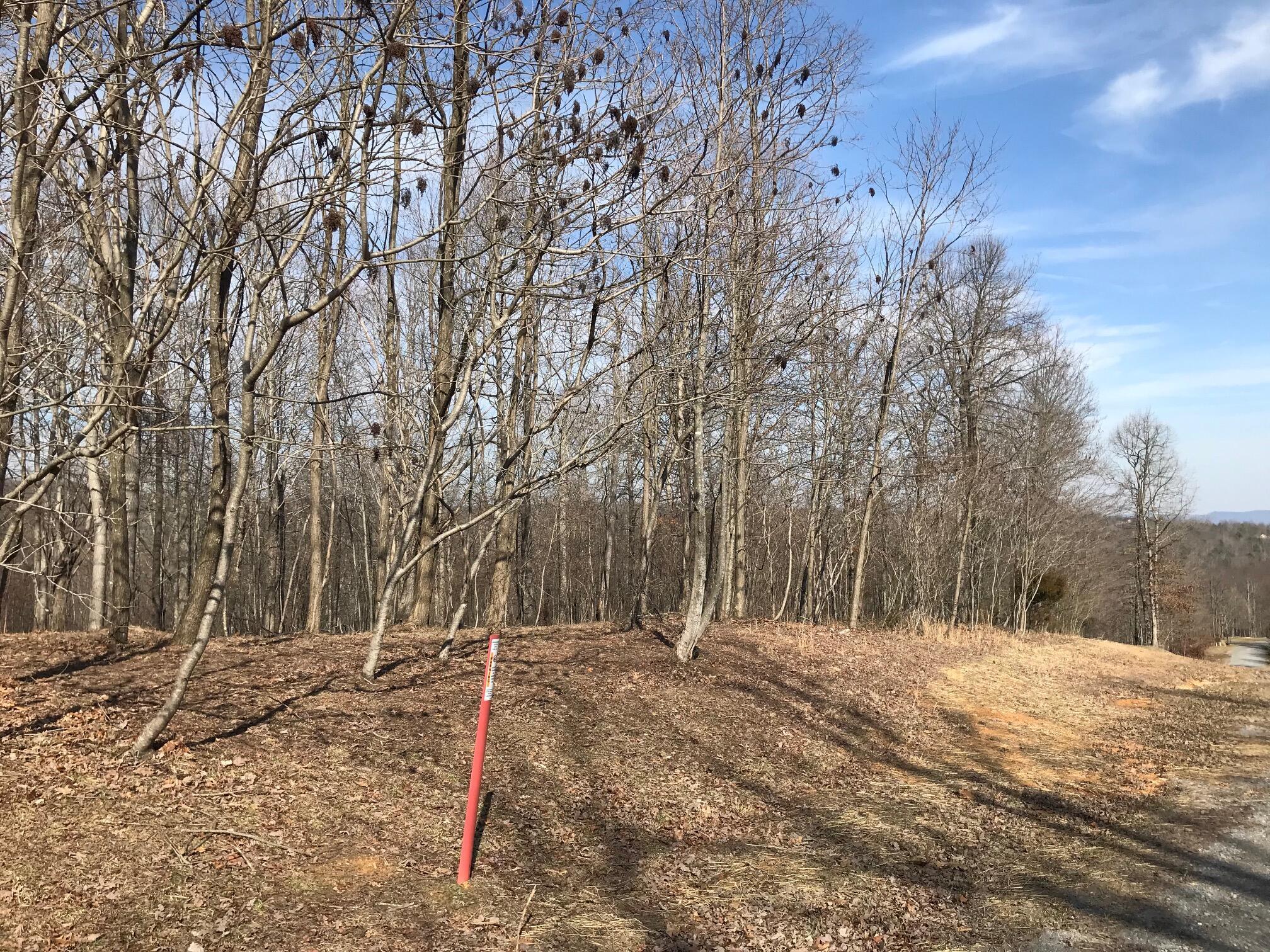 504 Wilderness Way, Dunlap, Tennessee image 18