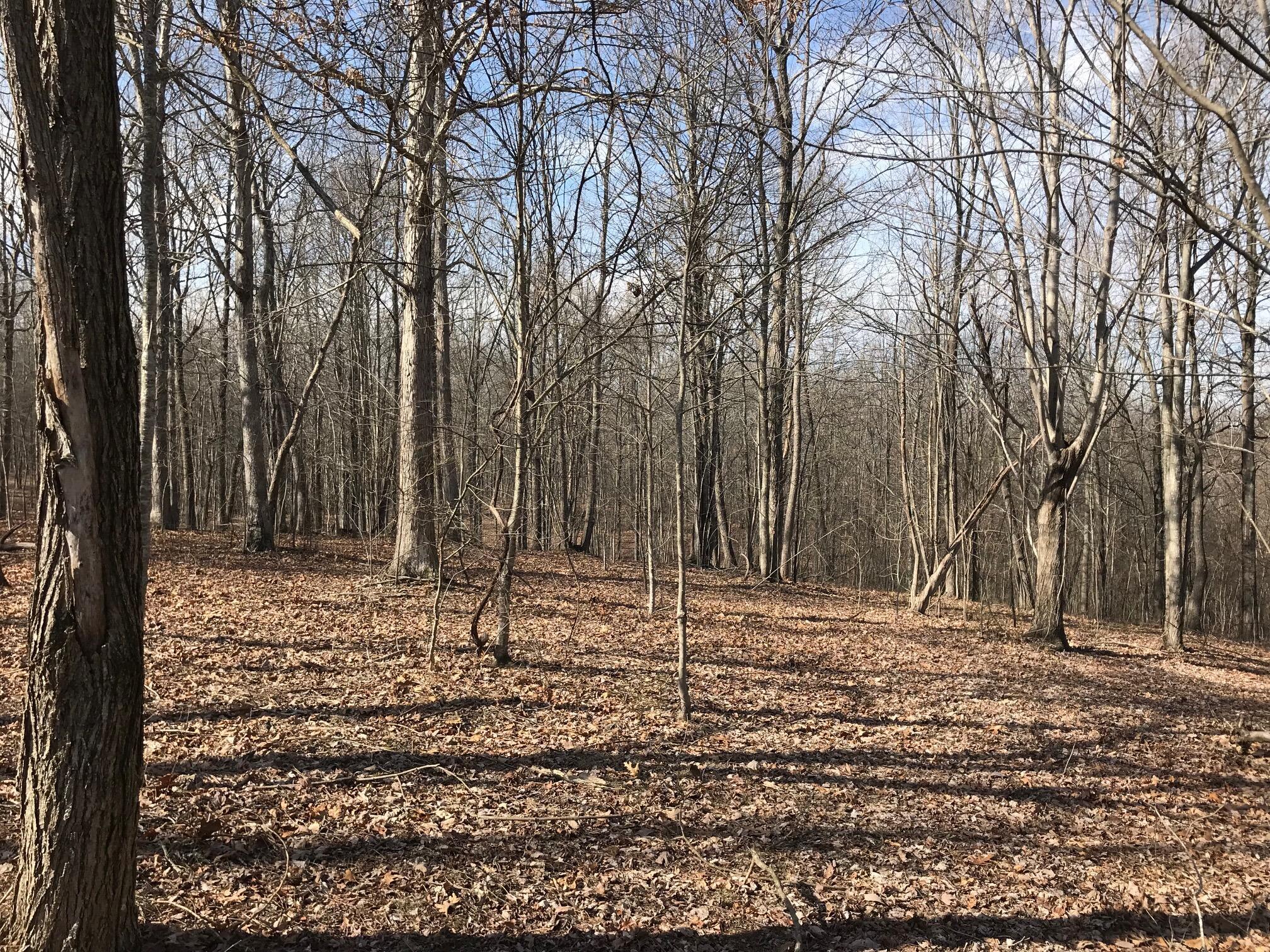 504 Wilderness Way, Dunlap, Tennessee image 1