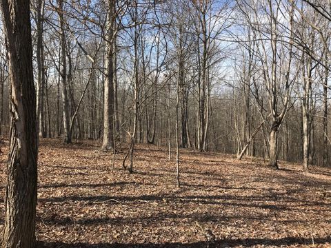 Photo of 504 Wilderness Way, Dunlap, TN 37327 (MLS # 1503338)