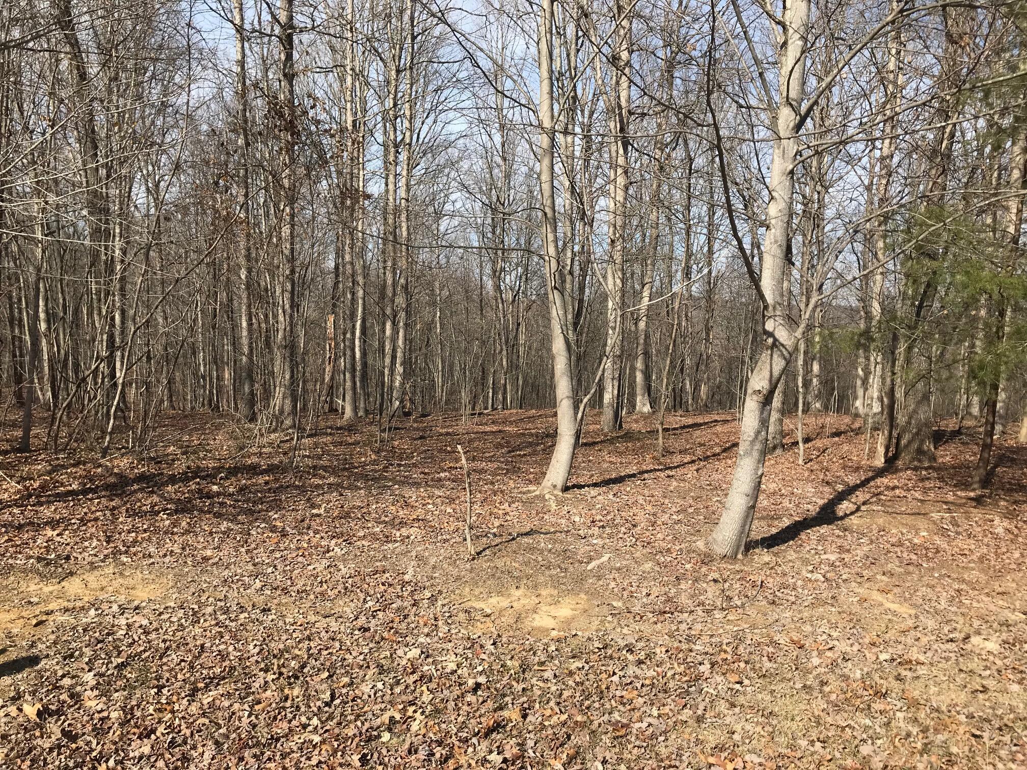 504 Wilderness Way, Dunlap, Tennessee image 10