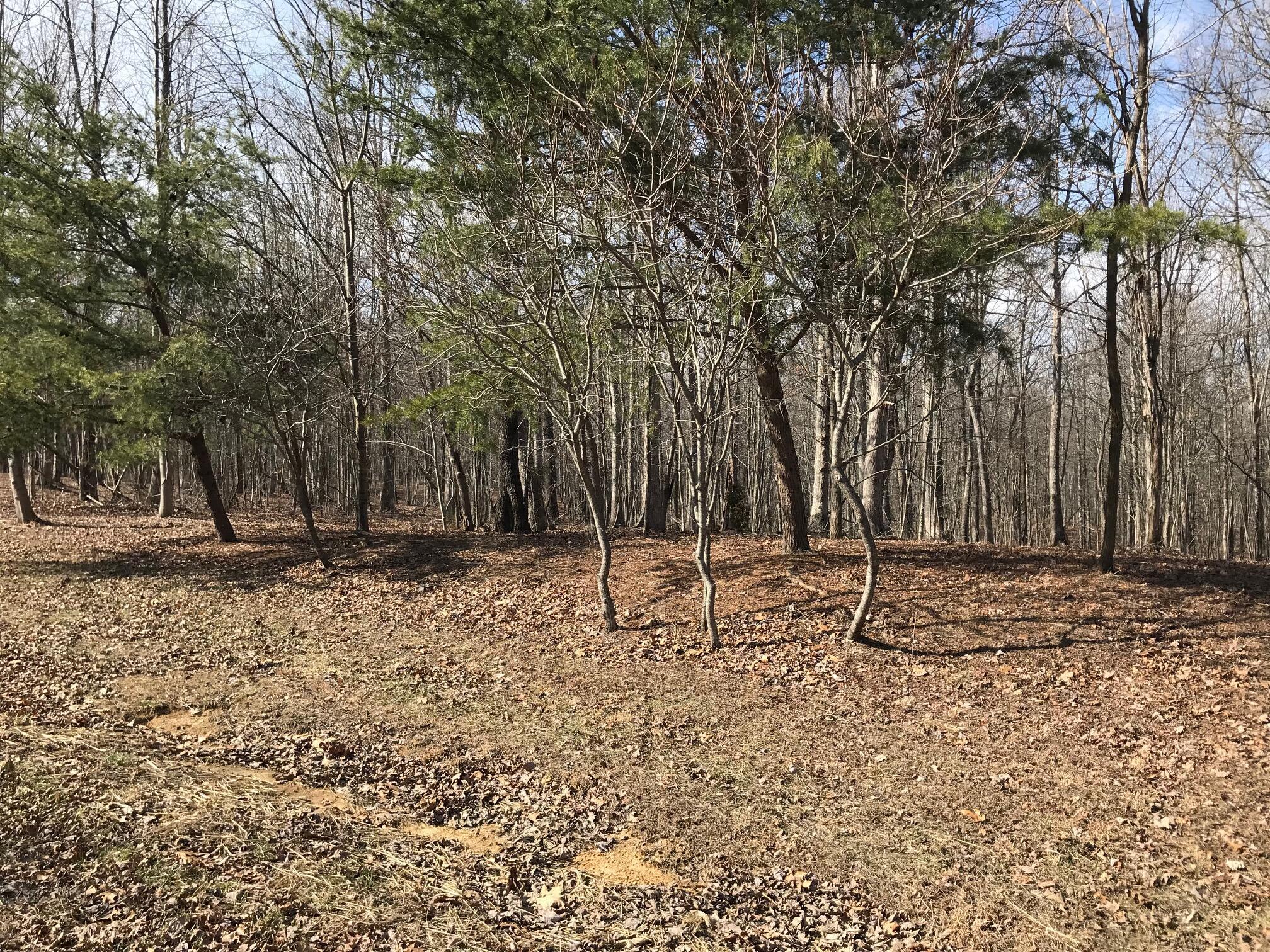 504 Wilderness Way, Dunlap, Tennessee image 20