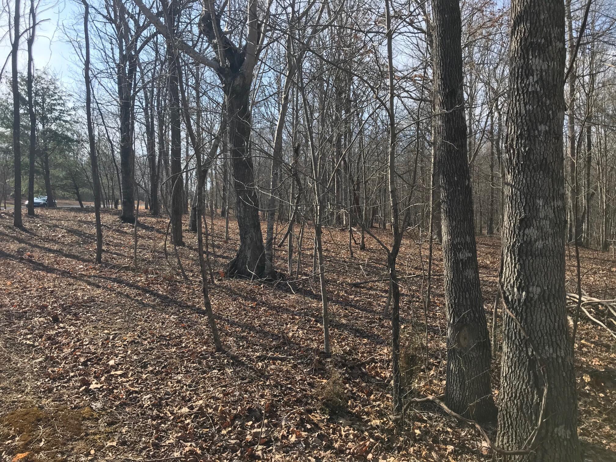 504 Wilderness Way, Dunlap, Tennessee image 15