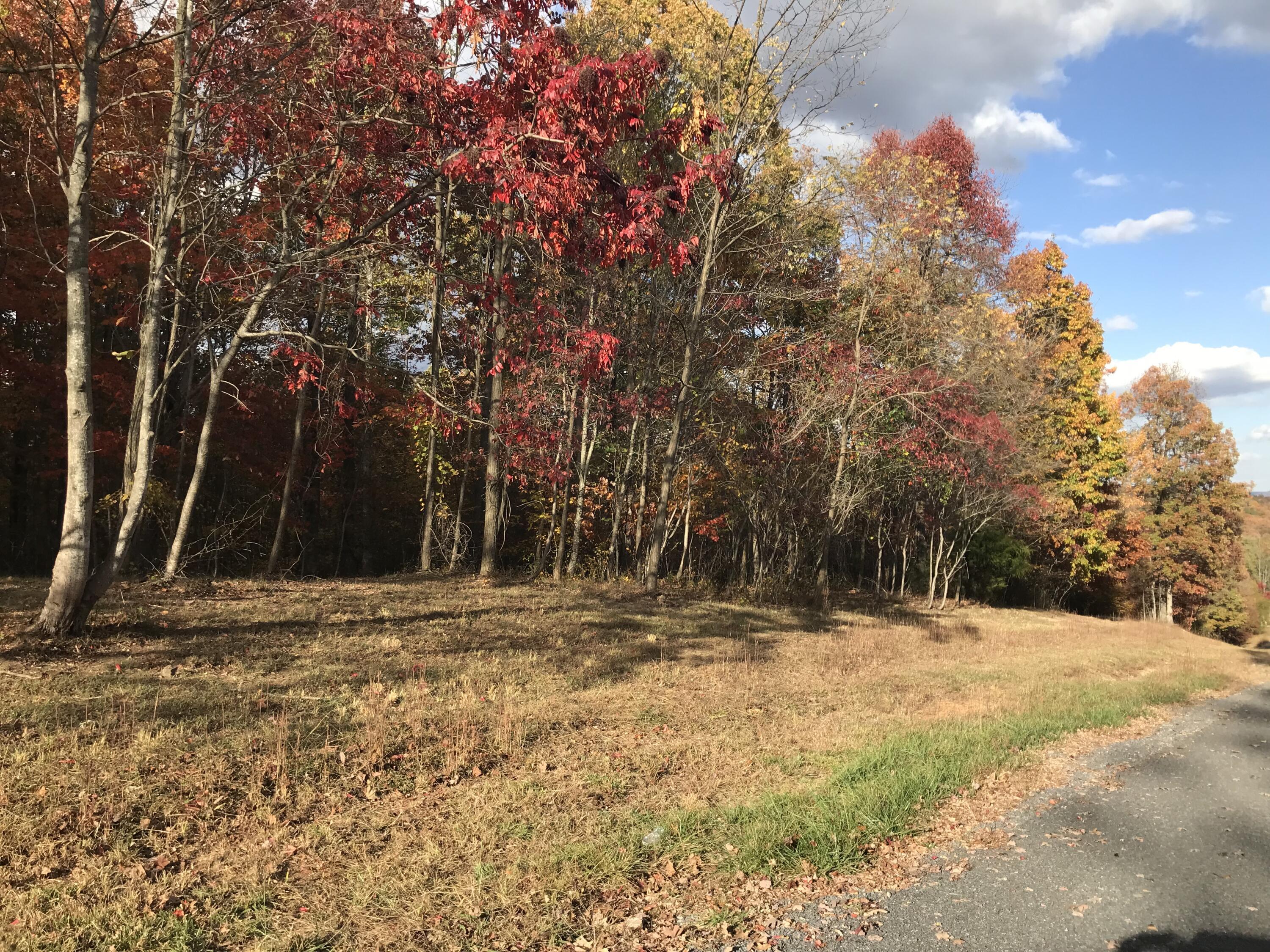 504 Wilderness Way, Dunlap, Tennessee image 7