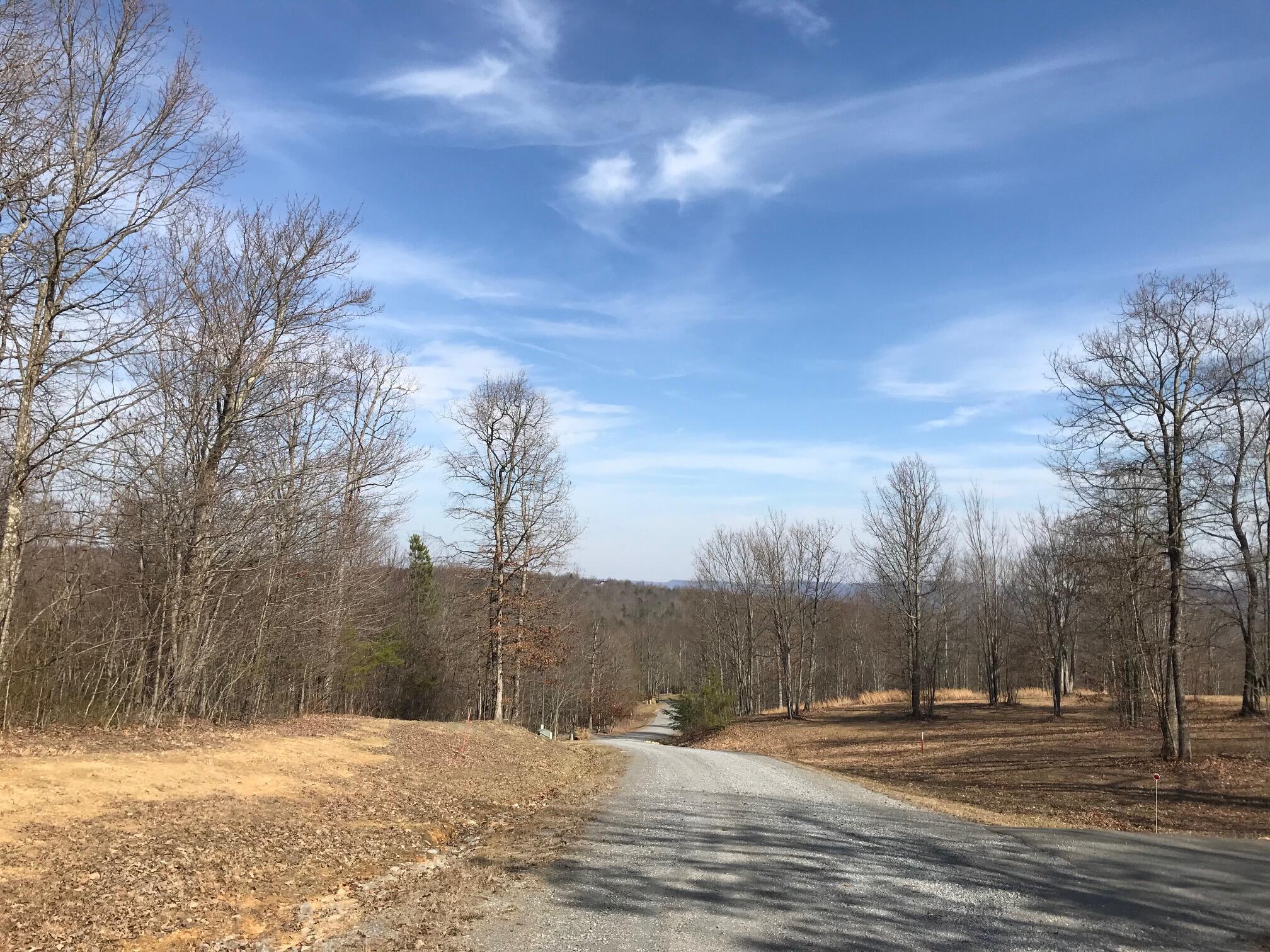 504 Wilderness Way, Dunlap, Tennessee image 12