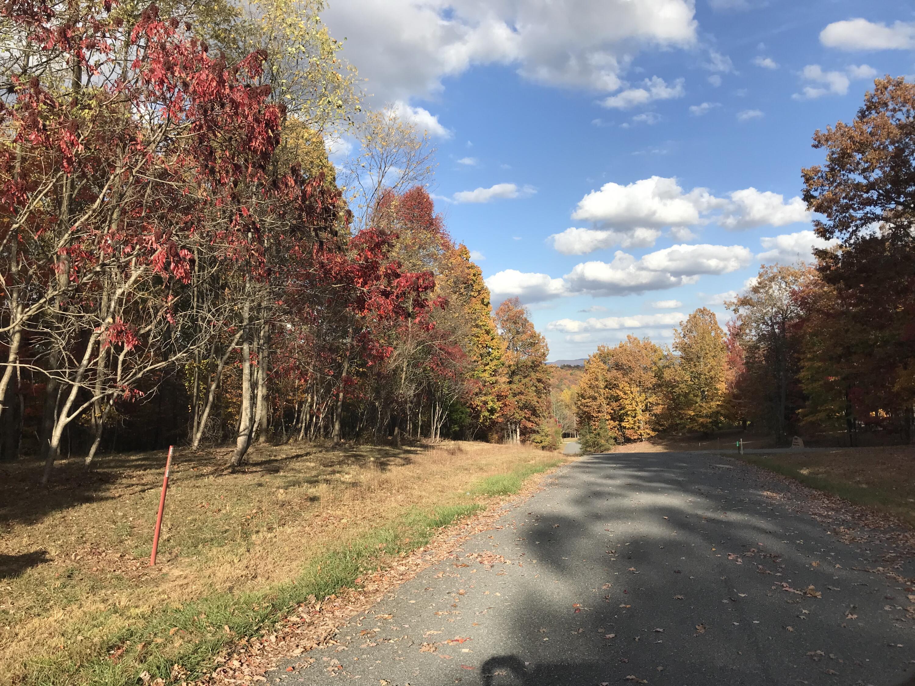 504 Wilderness Way, Dunlap, Tennessee image 6
