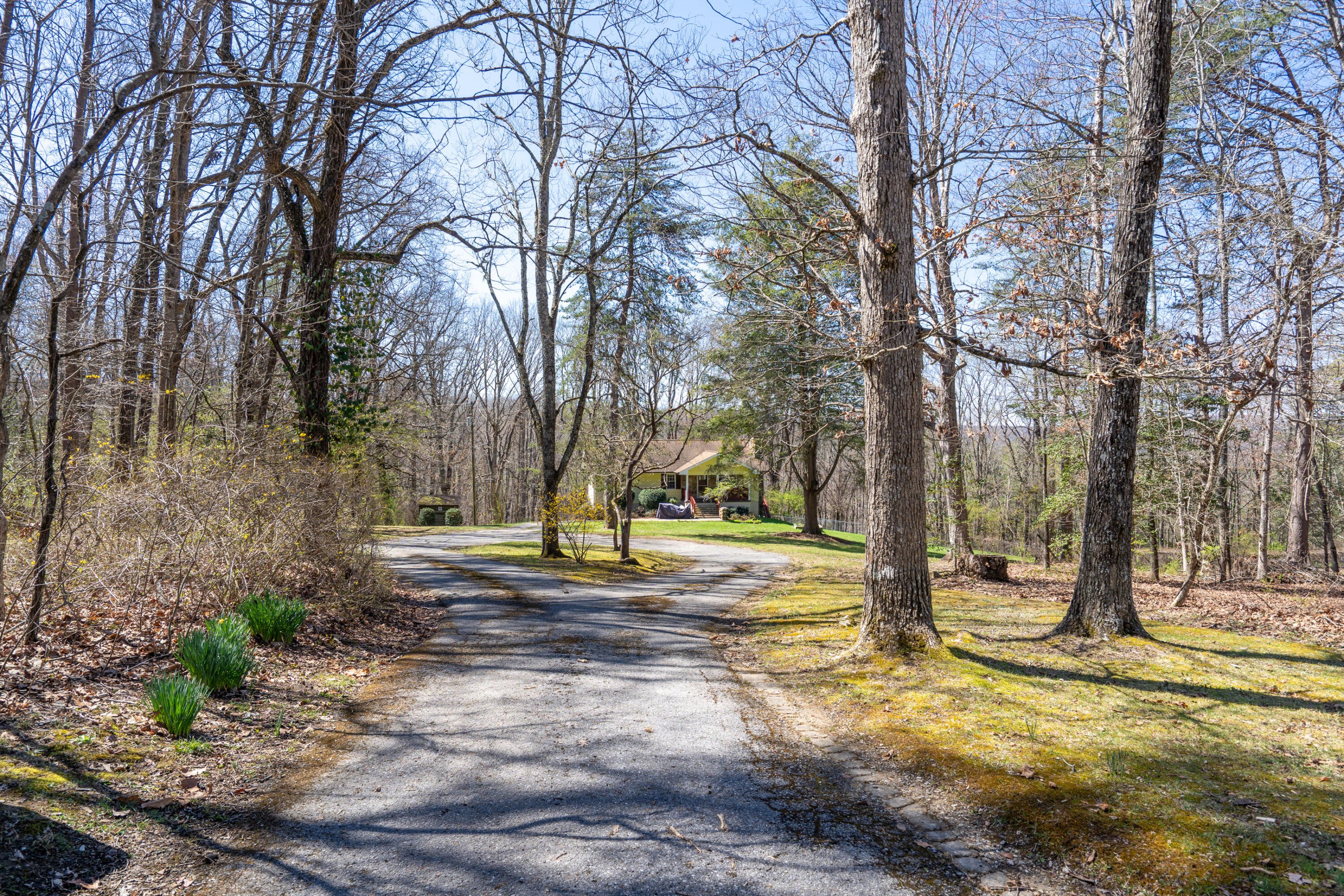 1805 Sunshine Lane, Signal Mountain, Tennessee image 32
