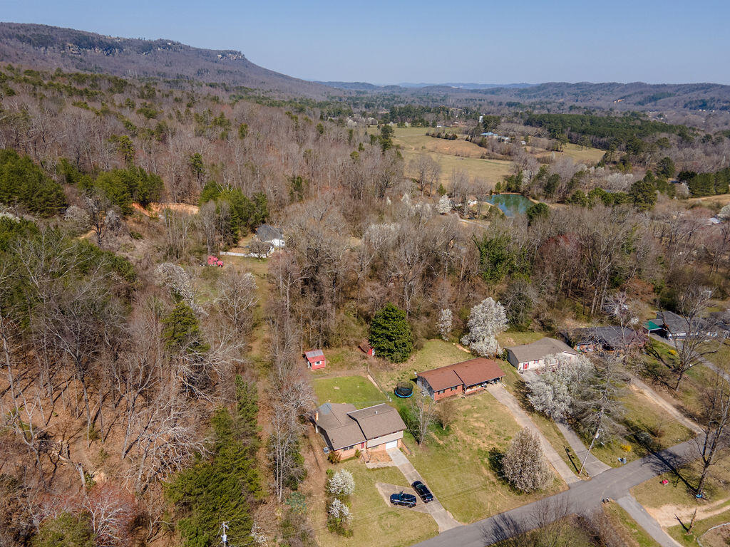 142 Bluff View Circle, Flintstone, Georgia image 48