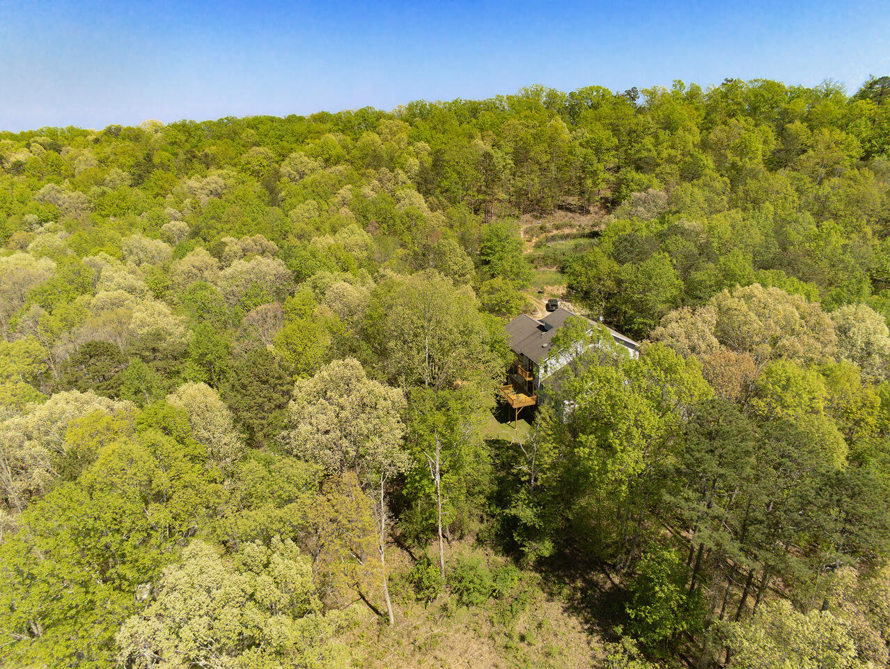 1346 Quail Valley Trail, Apison, Tennessee image 12