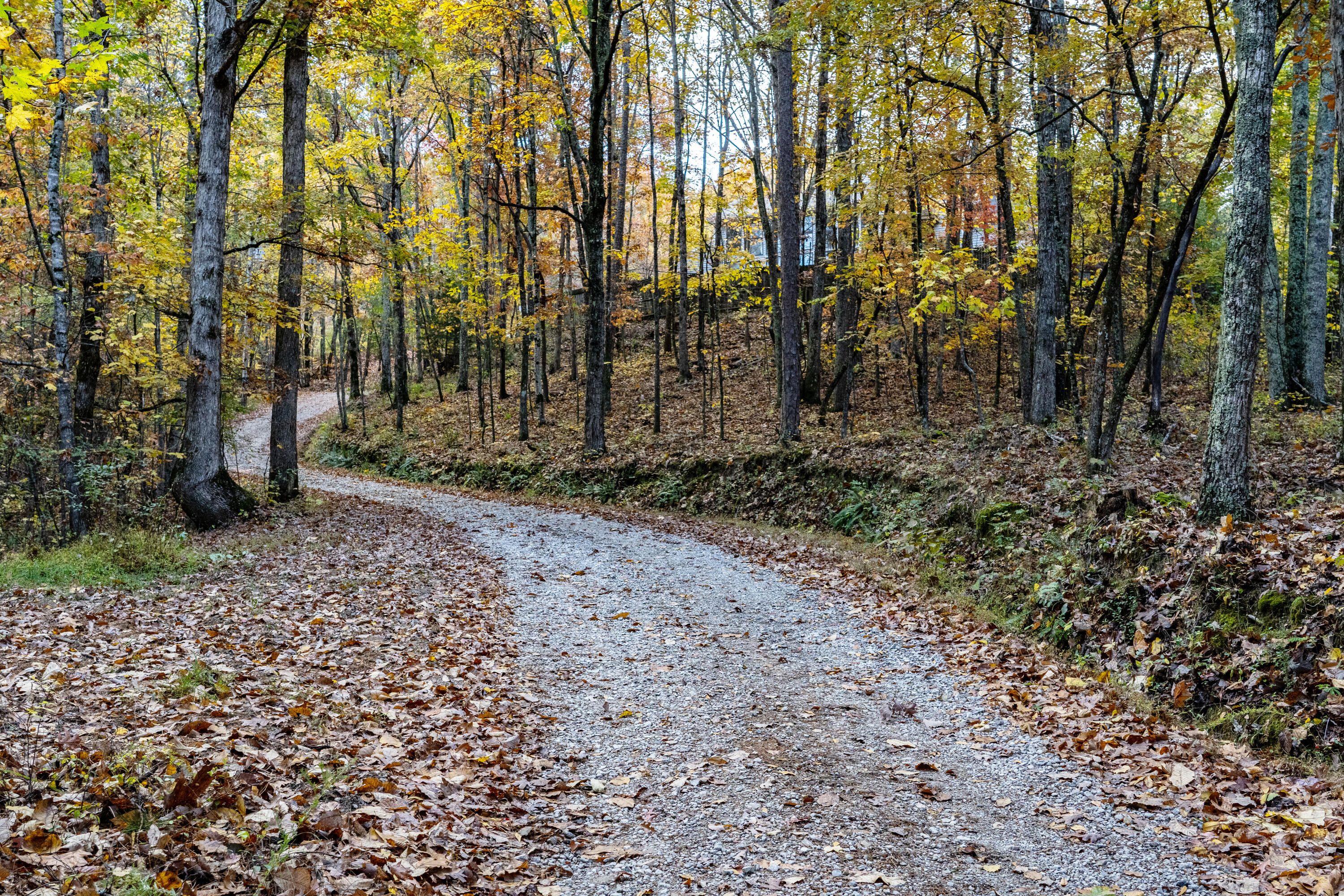 1346 Quail Valley Trail, Apison, Tennessee image 3