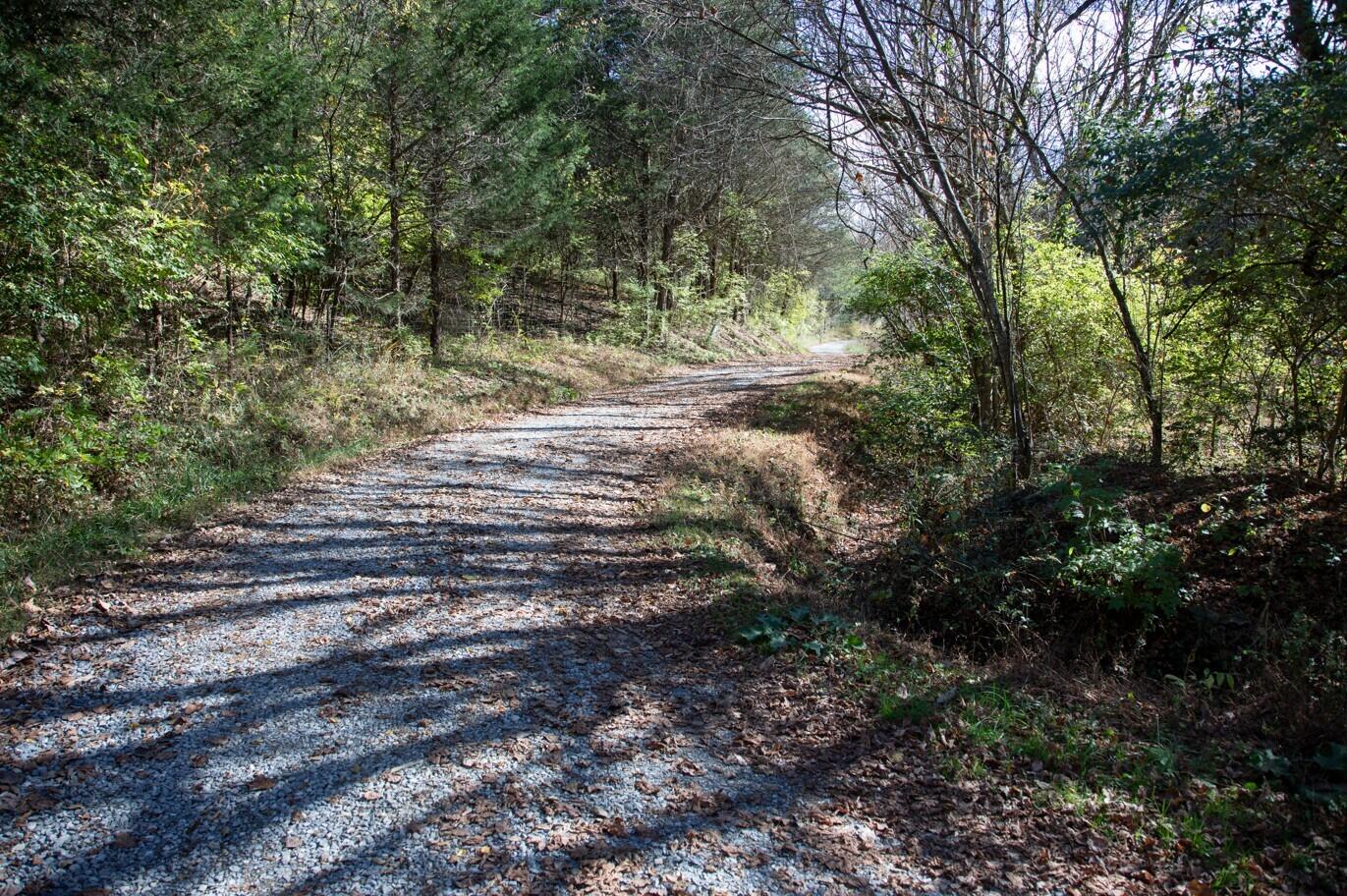 Henry Road, Newport, Tennessee image 8