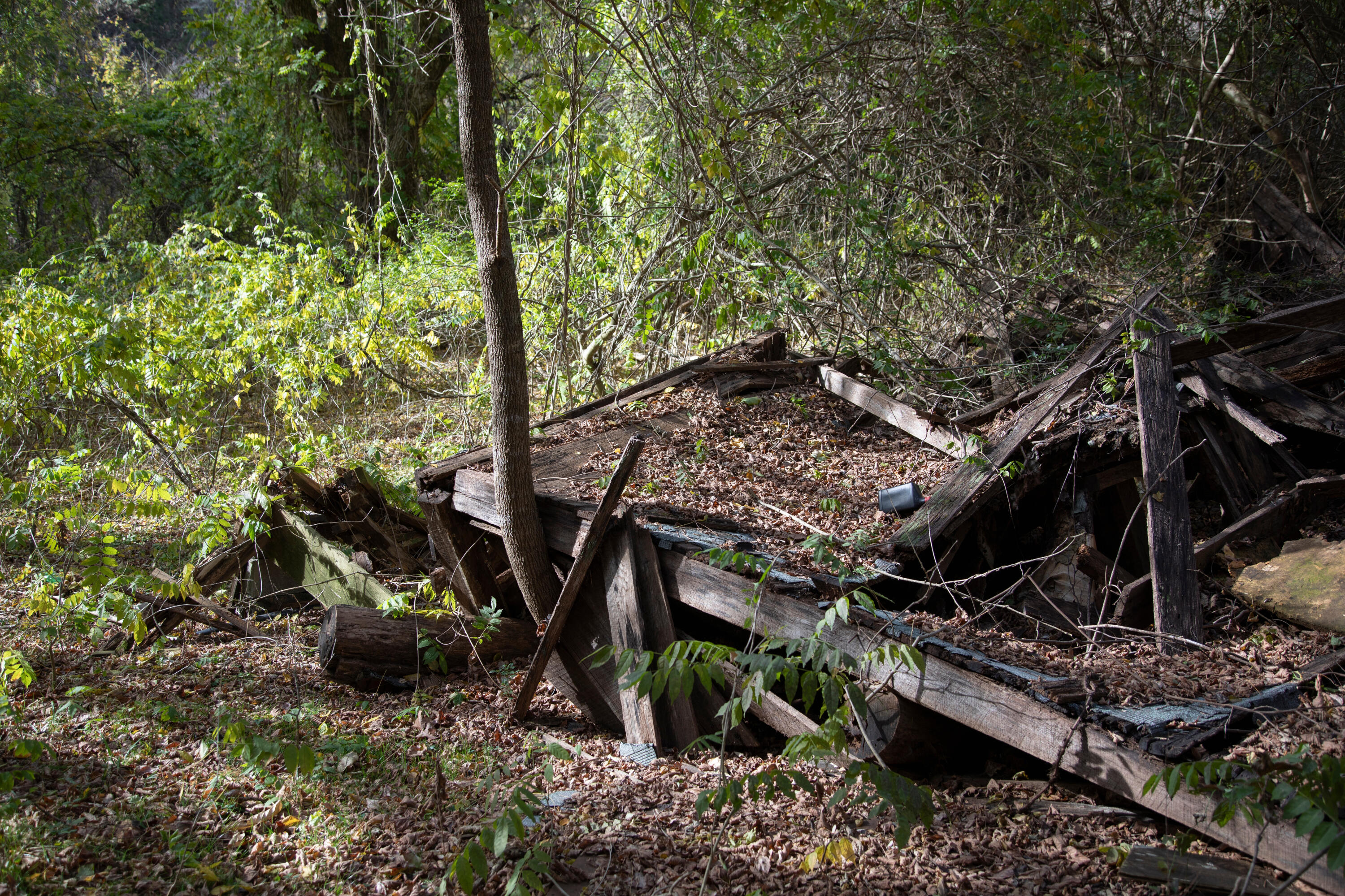 Henry Road, Newport, Tennessee image 3