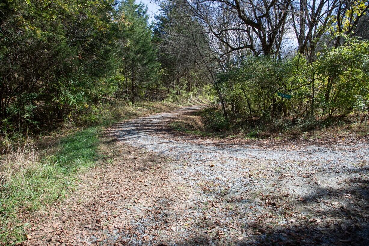 Henry Road, Newport, Tennessee image 5