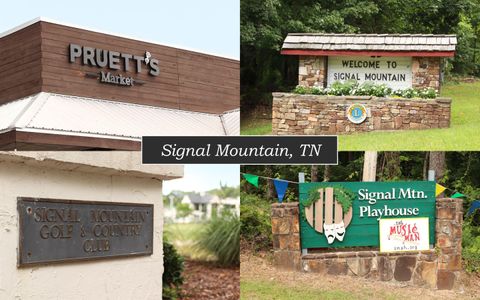 Tiny photo for 11 Saint Nicholas Way, Signal Mountain, TN 37377 (MLS # 1515793)