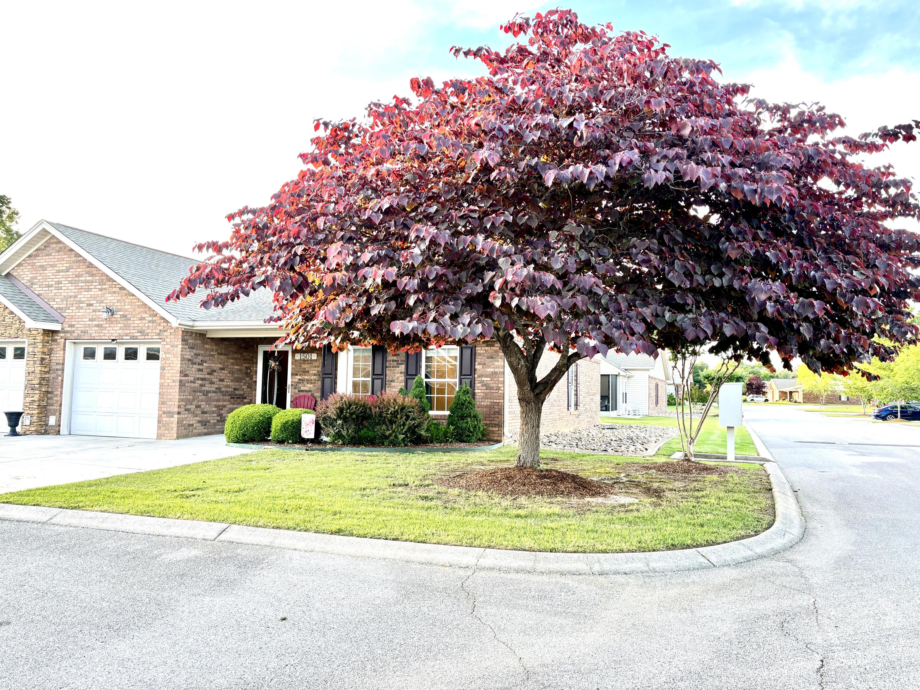 1501 Applebrook Drive, Rossville, Georgia image 2