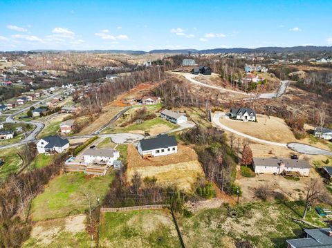 Tiny photo for 8114 Holly Hills Lot 156 Dr, Chattanooga, TN 37421 (MLS # 1529665)