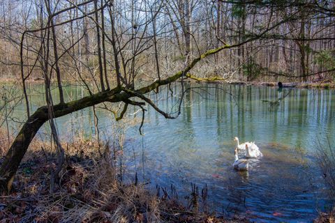 Homes For Sale - 240 Sardis Church Road<br/> Whitwell, TN 37397