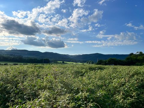 Tiny photo for 0 Old State Highway 28, Pikeville, TN 37367 (MLS # 1381606)