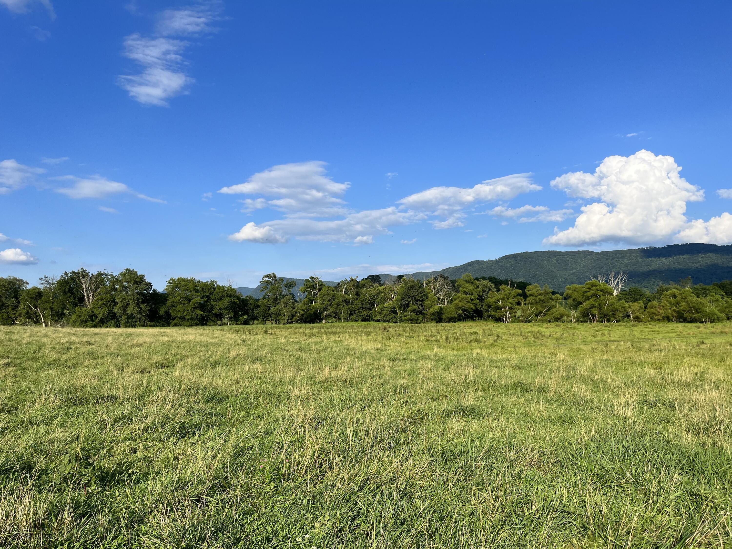 Old State Highway 28, Pikeville, Tennessee image 8