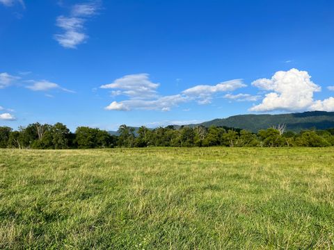 Tiny photo for 0 Old State Highway 28, Pikeville, TN 37367 (MLS # 1381606)