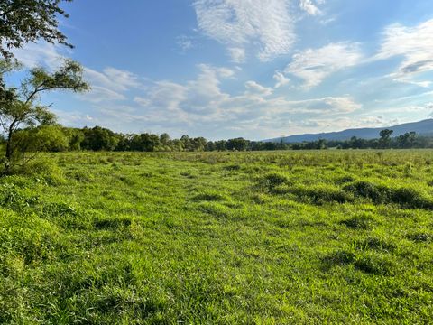 Tiny photo for 0 Old State Highway 28, Pikeville, TN 37367 (MLS # 1381606)