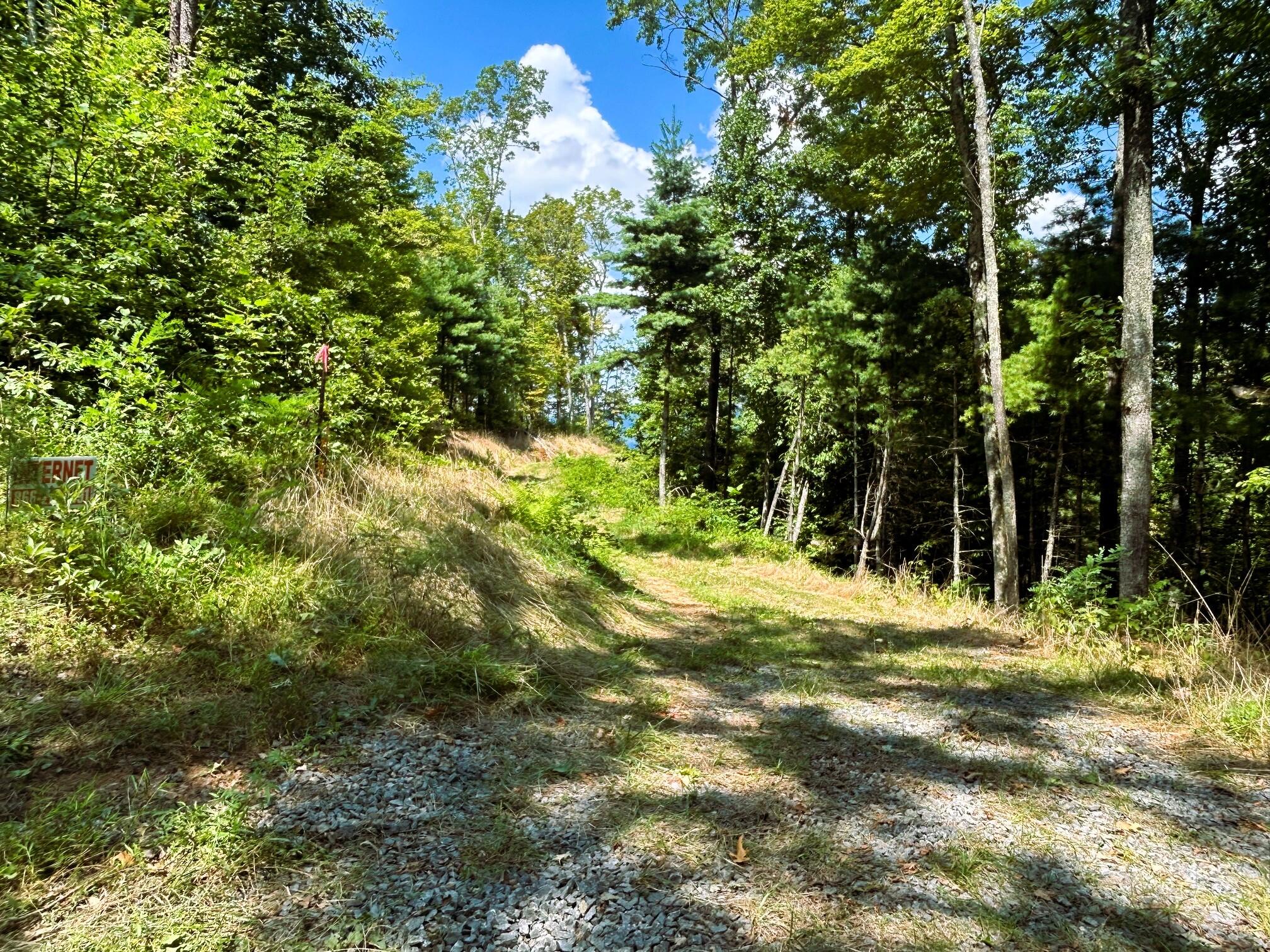 31.54 Acre Chestnut Mountain Road, Reliance, Tennessee image 7