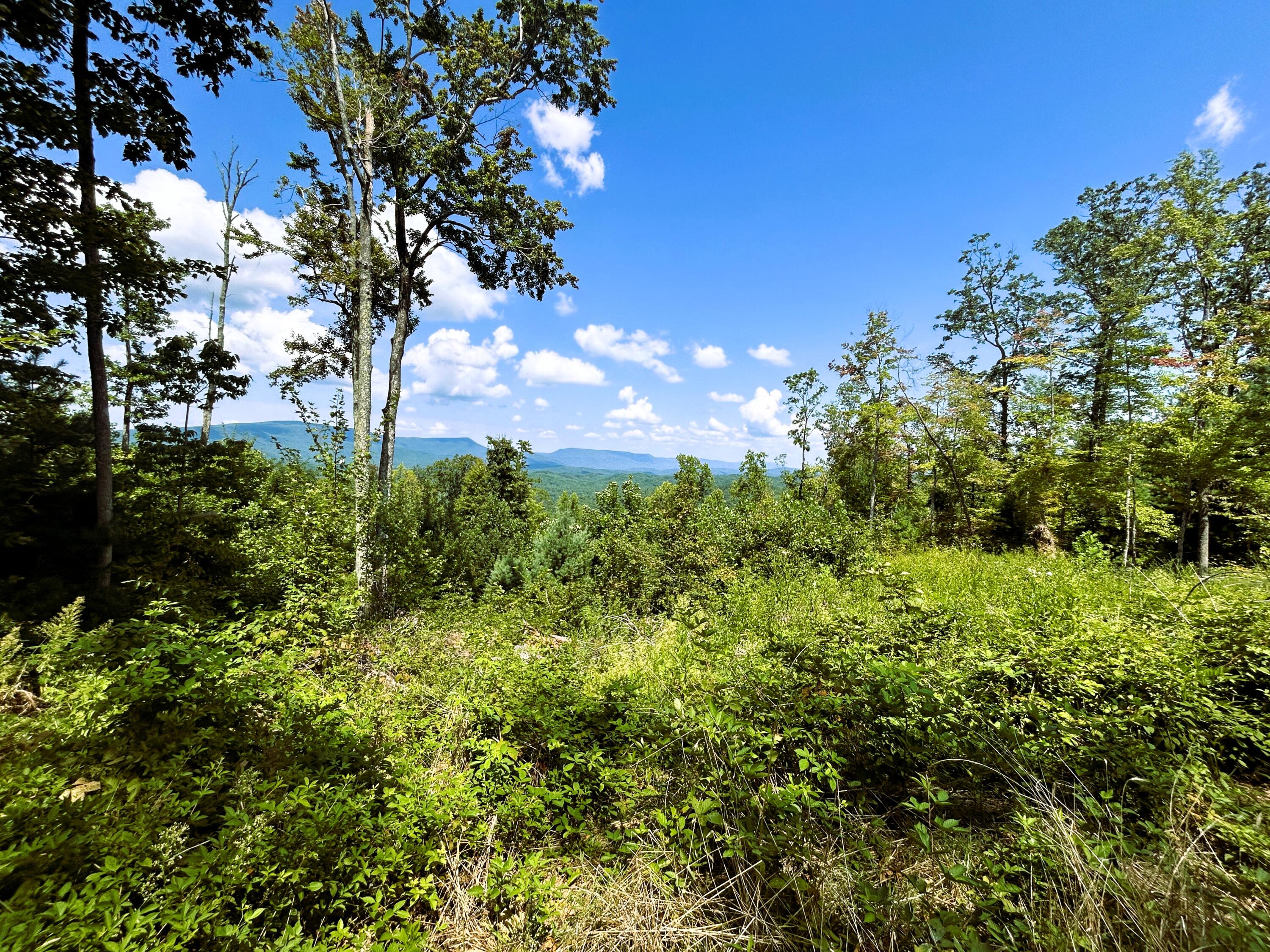 31.54 Acre Chestnut Mountain Road, Reliance, Tennessee image 13