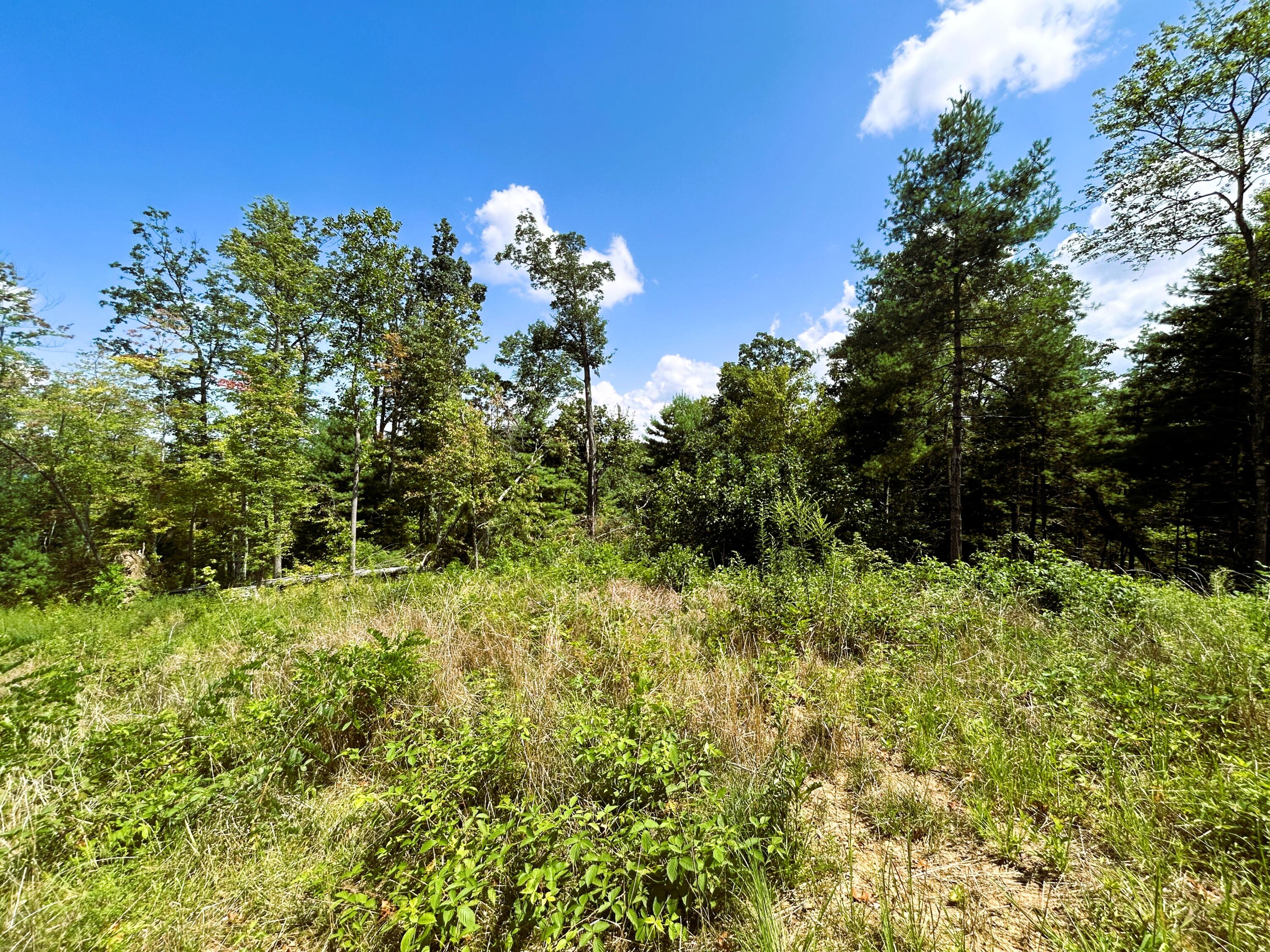 31.54 Acre Chestnut Mountain Road, Reliance, Tennessee image 15