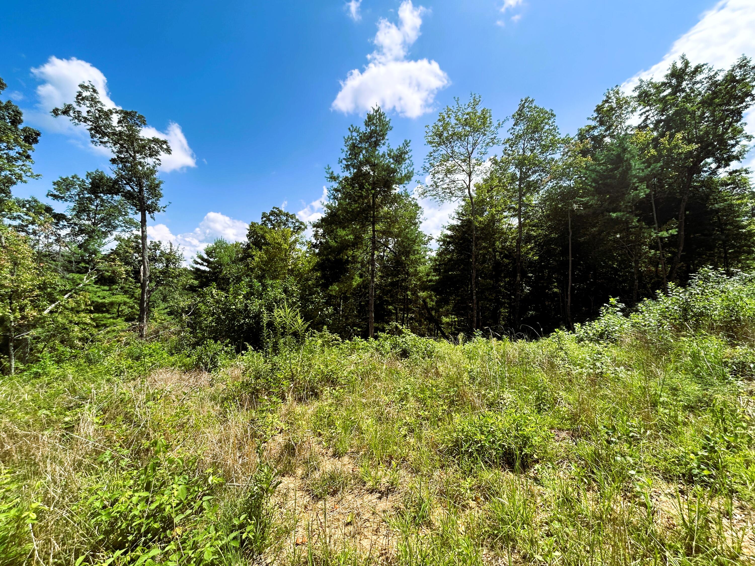 31.54 Acre Chestnut Mountain Road, Reliance, Tennessee image 14