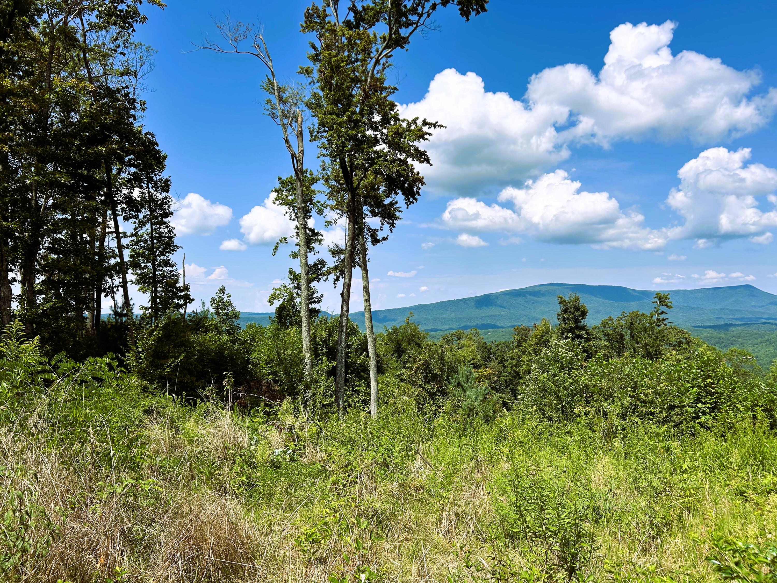 31.54 Acre Chestnut Mountain Road, Reliance, Tennessee image 19