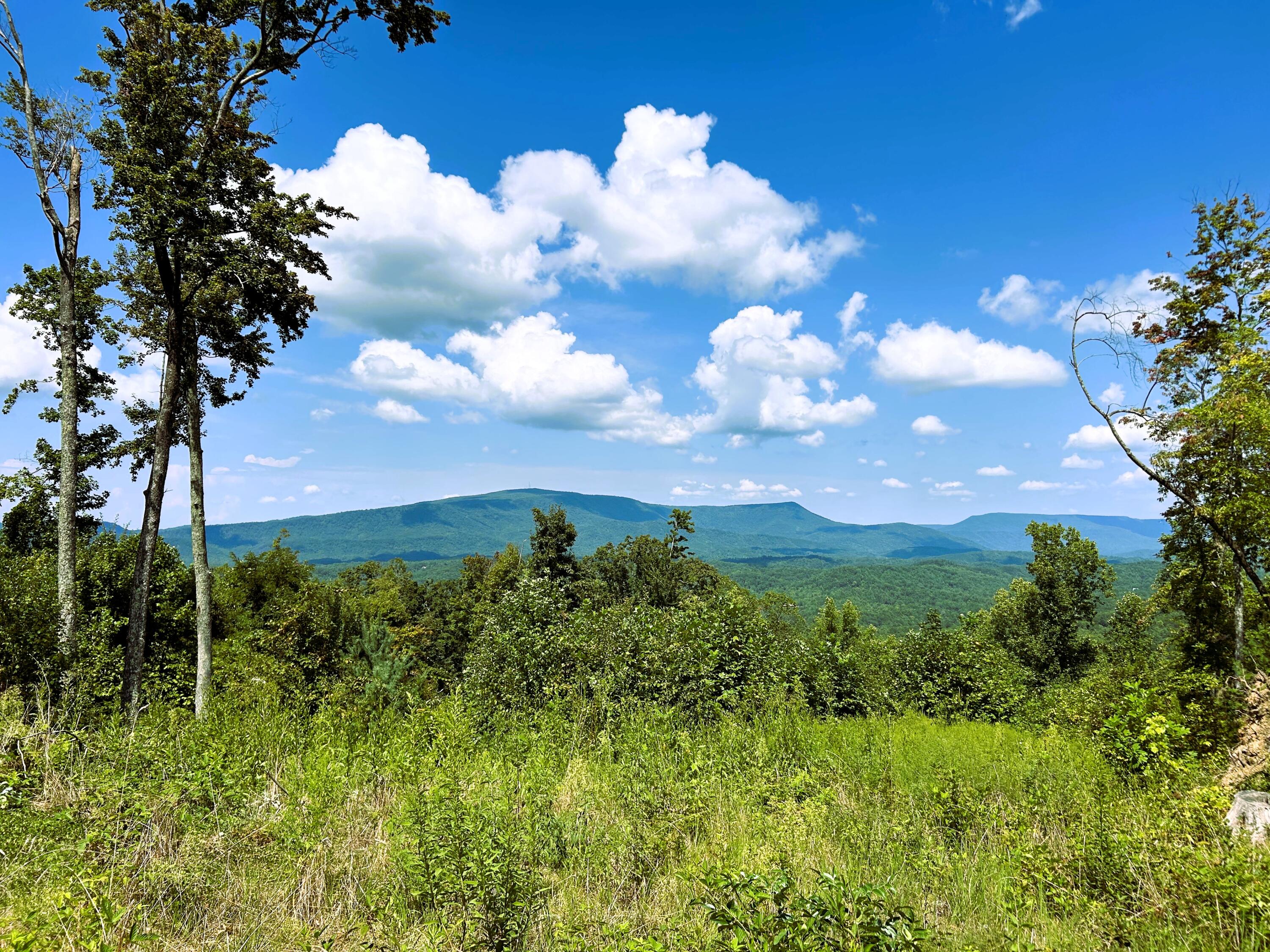 31.54 Acre Chestnut Mountain Road, Reliance, Tennessee image 2