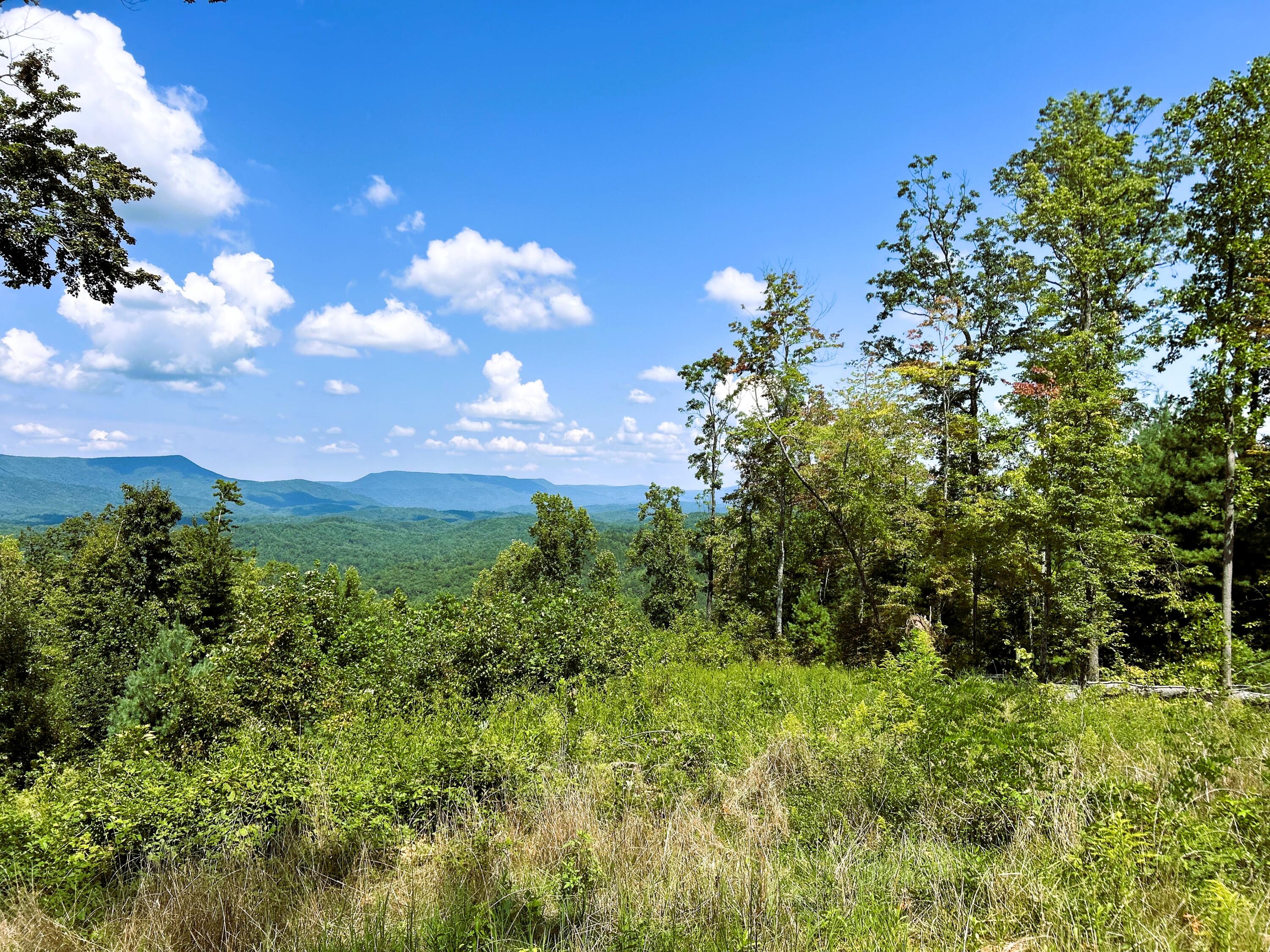 31.54 Acre Chestnut Mountain Road, Reliance, Tennessee image 16