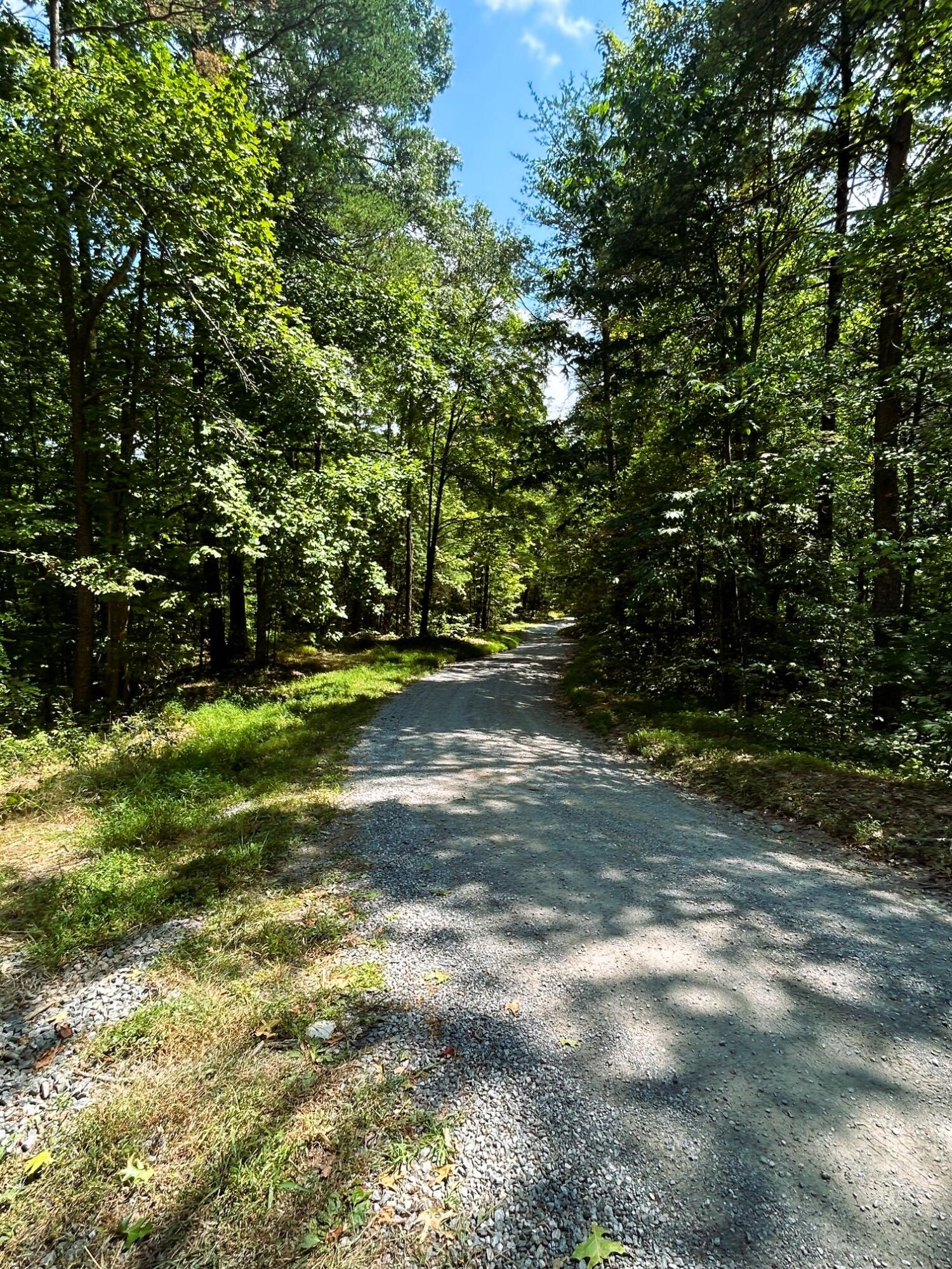 31.54 Acre Chestnut Mountain Road, Reliance, Tennessee image 4