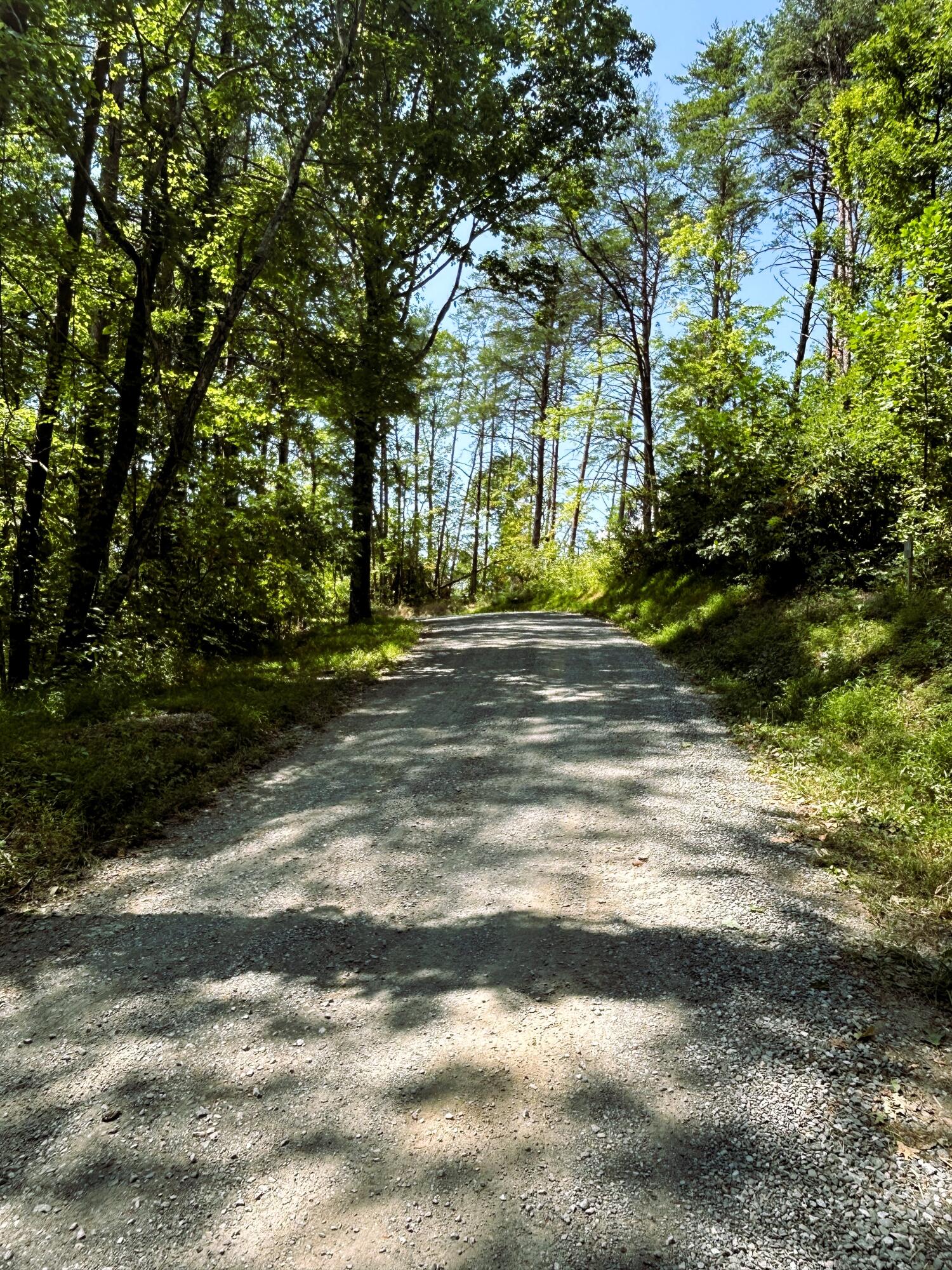 31.54 Acre Chestnut Mountain Road, Reliance, Tennessee image 8