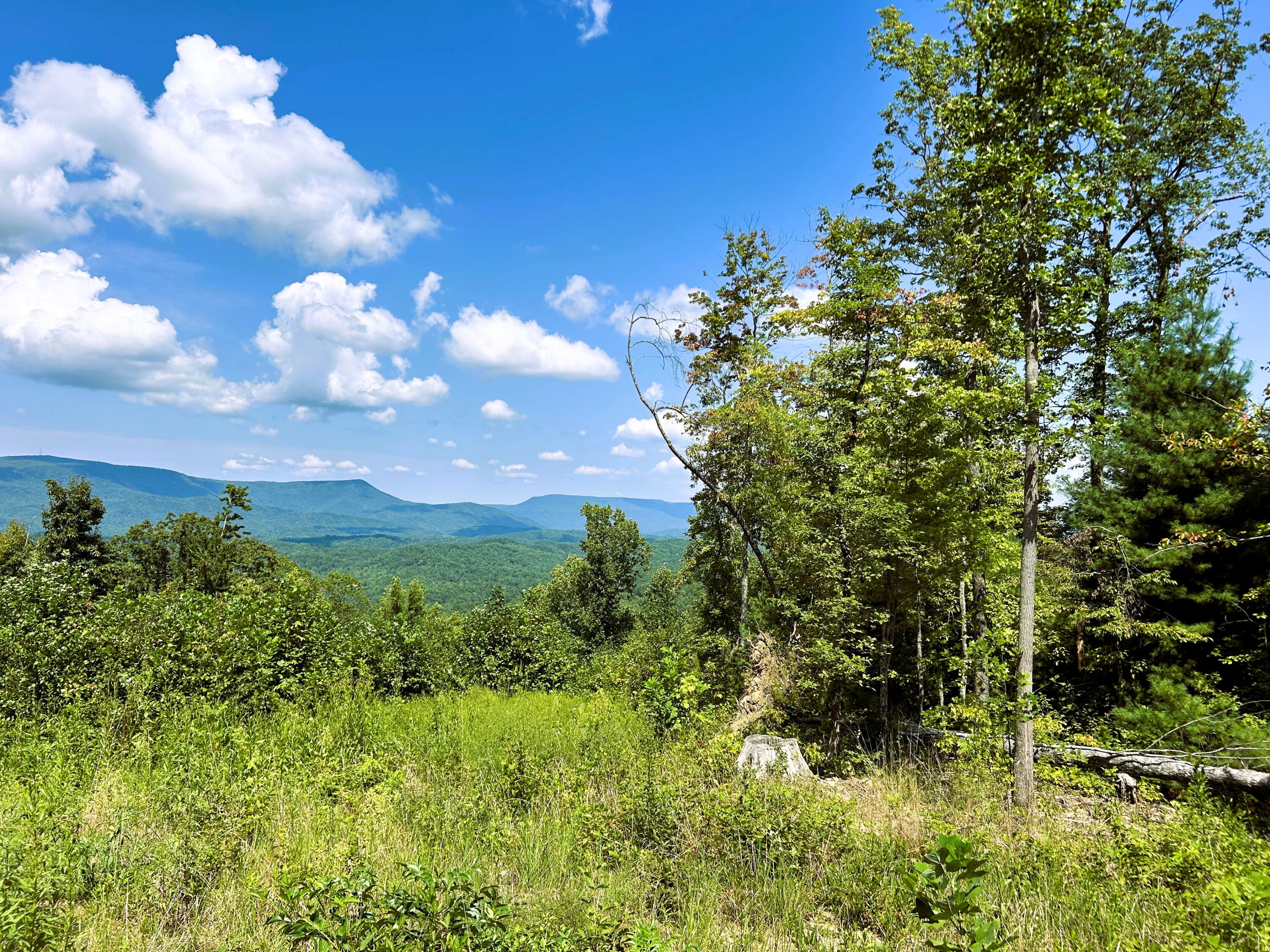 31.54 Acre Chestnut Mountain Road, Reliance, Tennessee image 18