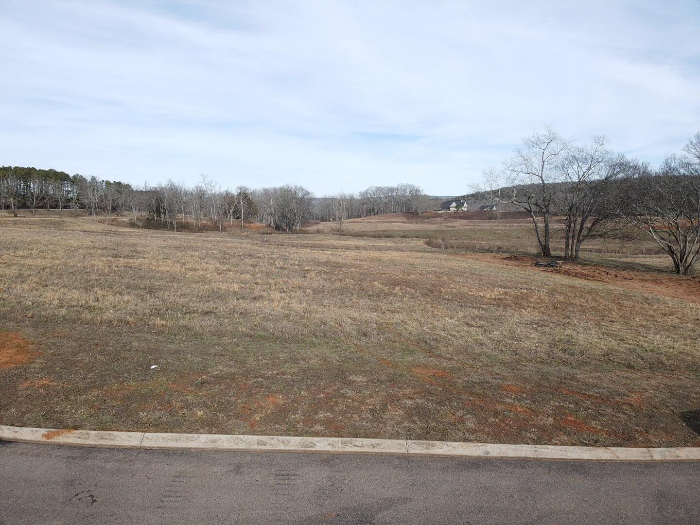 Lot 19r Clubhouse Drive, Jasper, Tennessee image 16