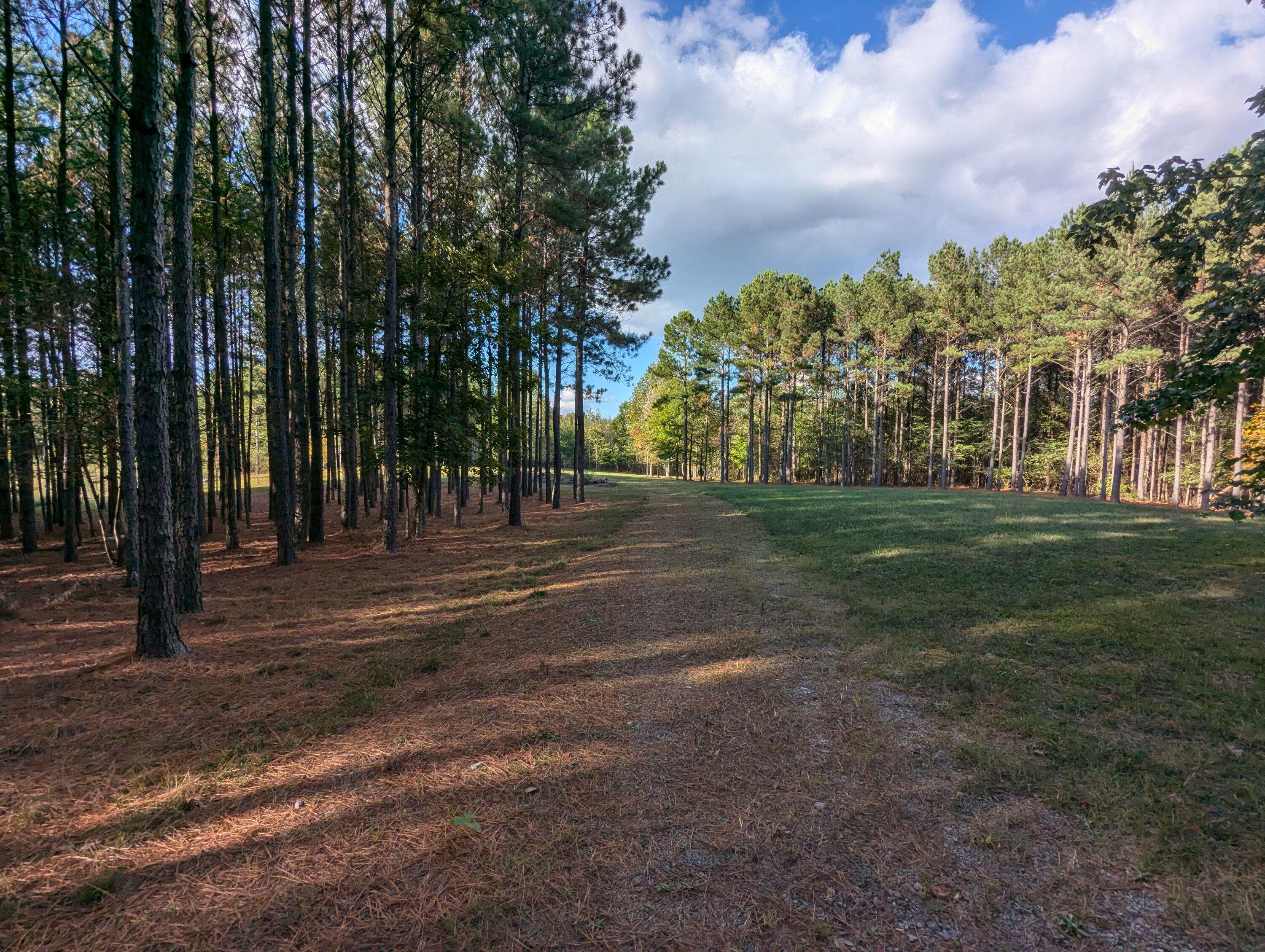 194 River Bluffs Drive, Jasper, Tennessee image 17