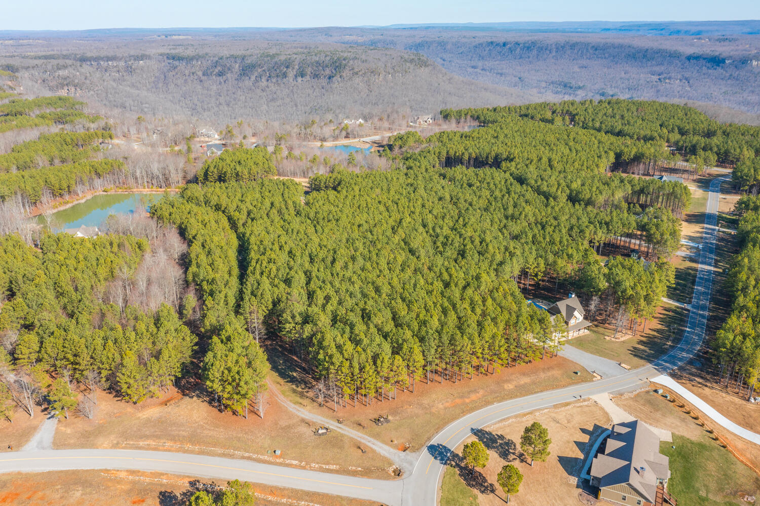 194 River Bluffs Drive, Jasper, Tennessee image 23