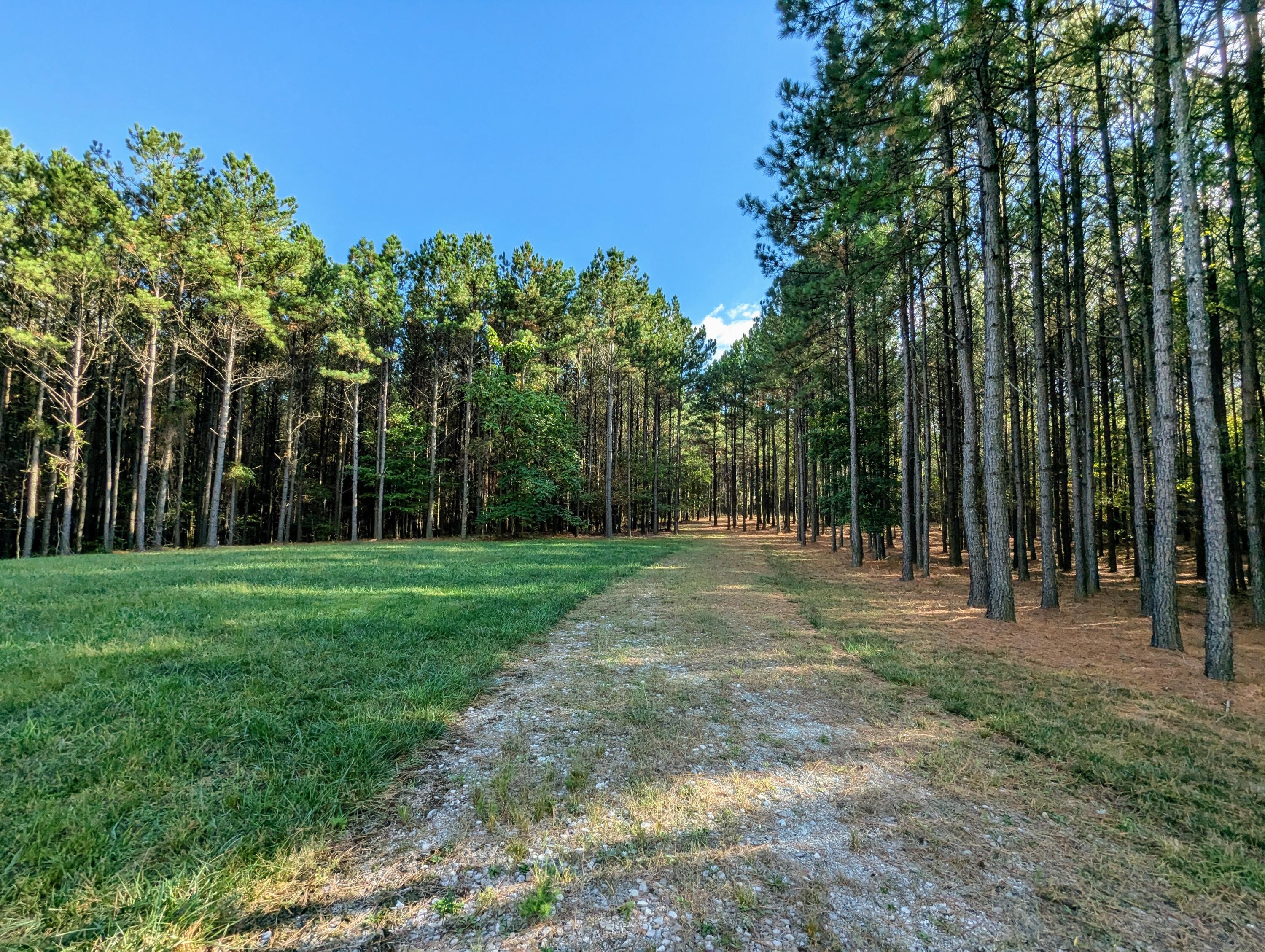 194 River Bluffs Drive, Jasper, Tennessee image 3