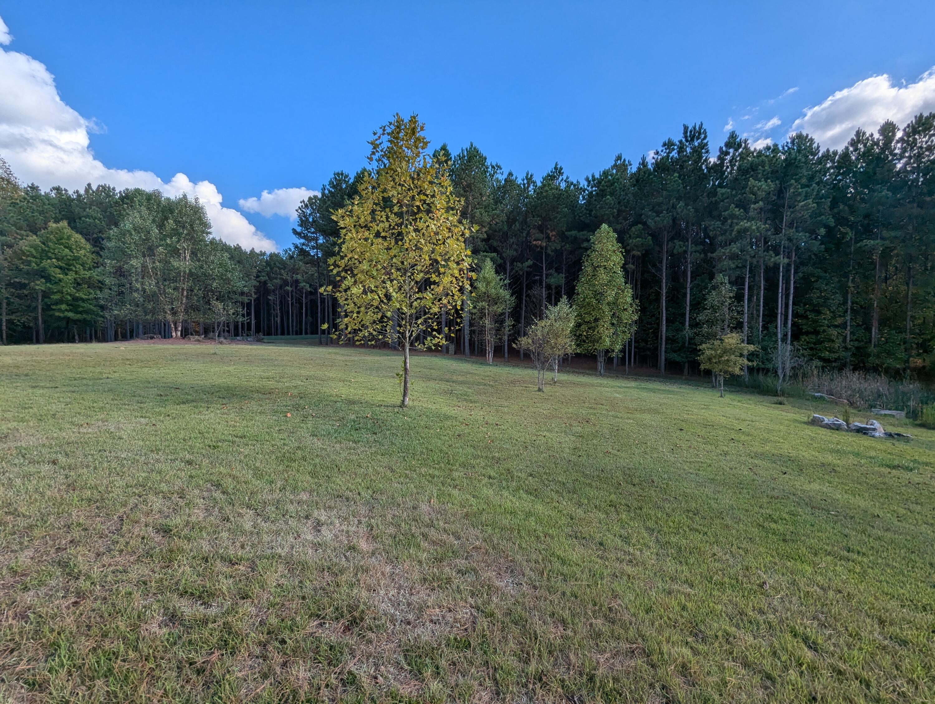 194 River Bluffs Drive, Jasper, Tennessee image 12